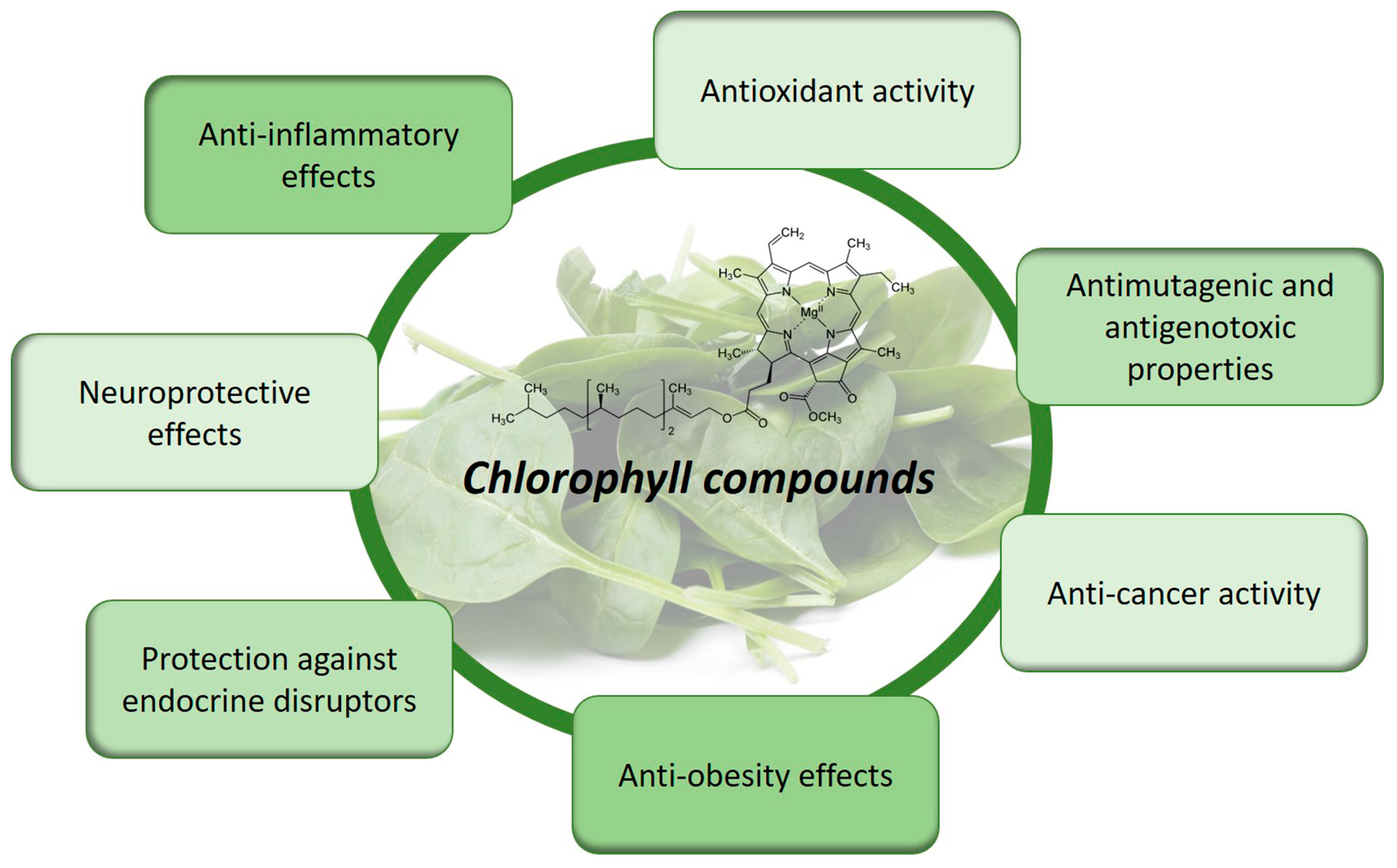 Molecules 28 05344 g003