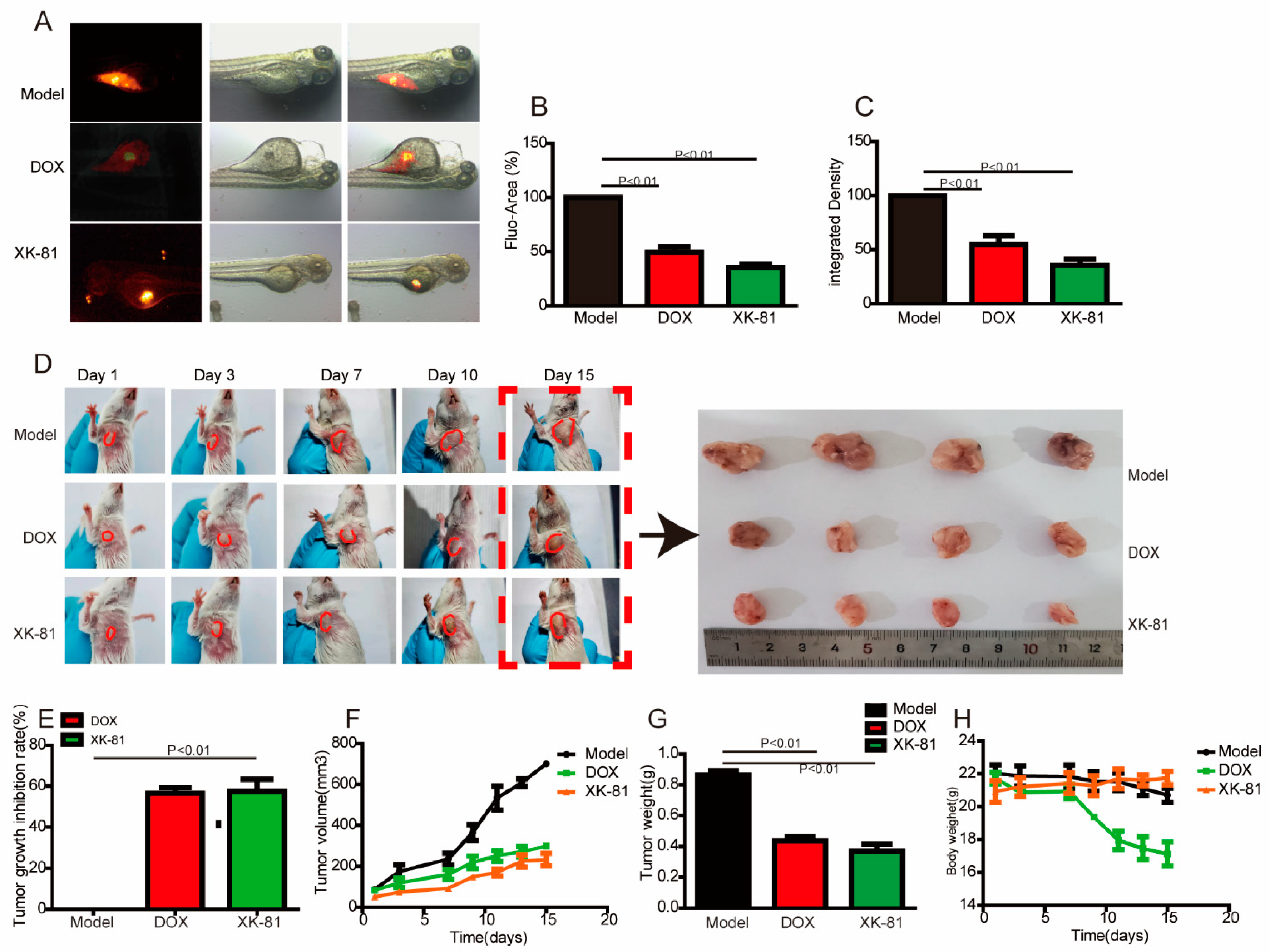 Molecules 28 05349 g002 Molecules 28 05349 g002