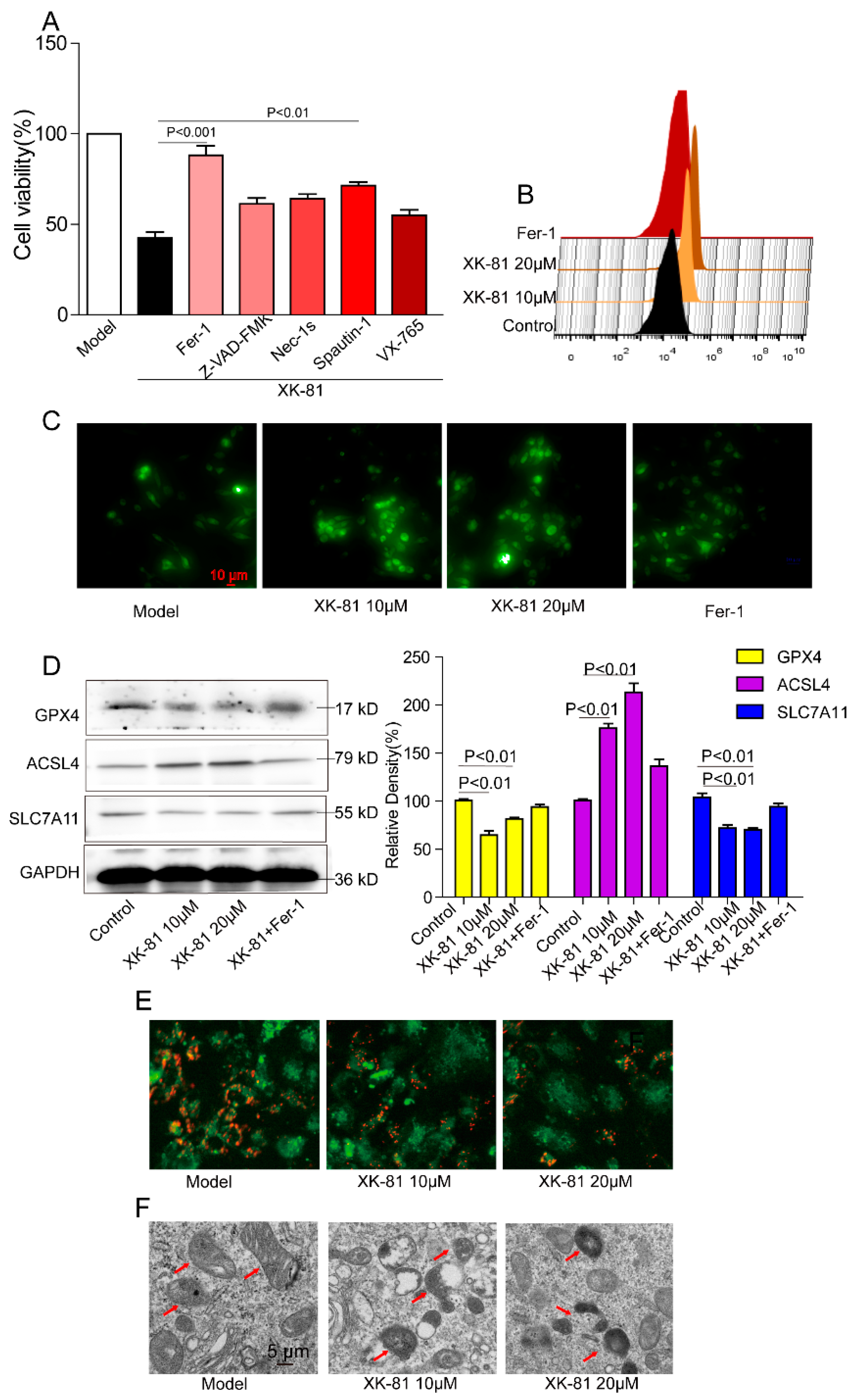 Molecules 28 05349 g004 Molecules 28 05349 g004