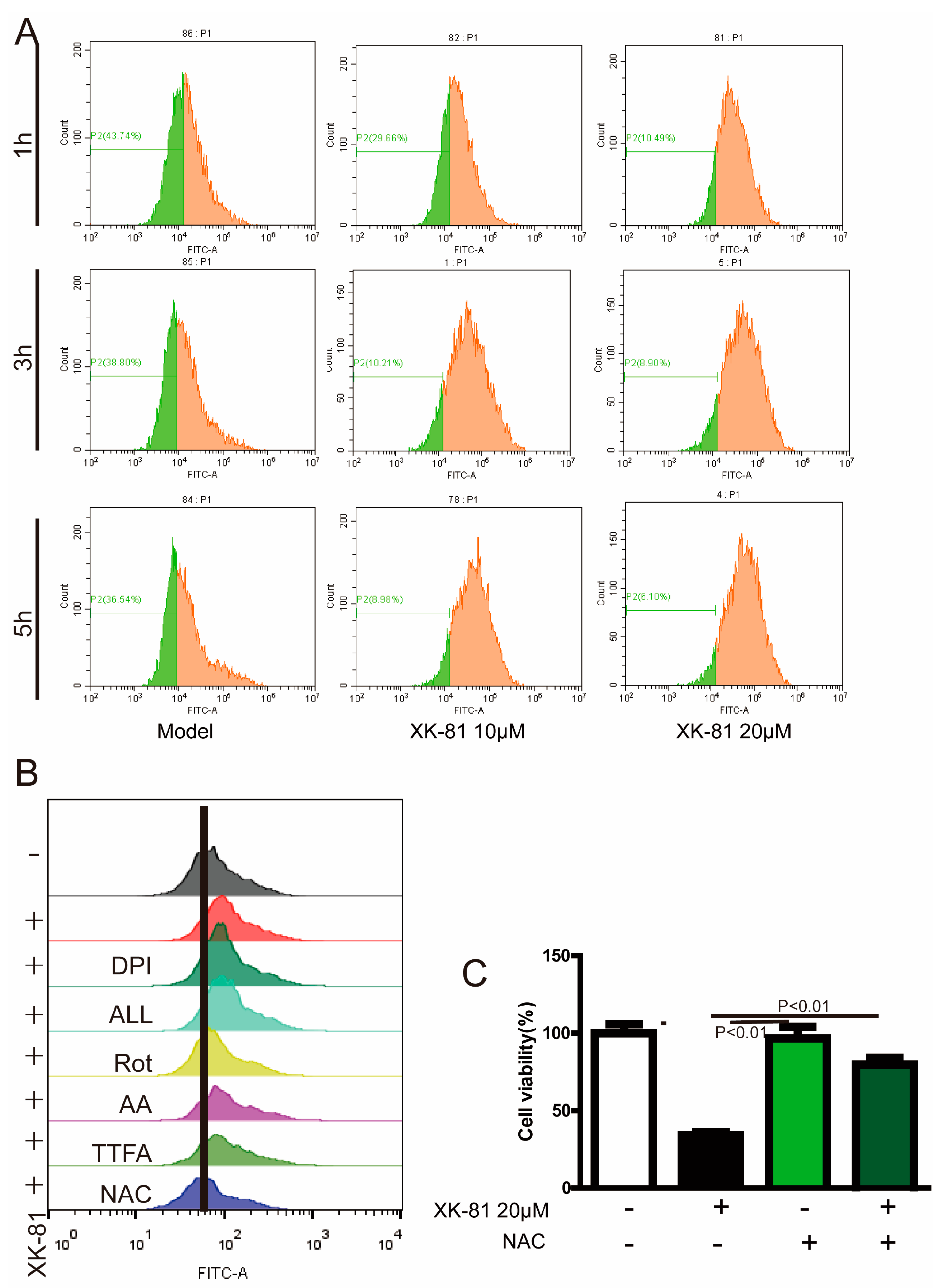 Molecules 28 05349 g005 Molecules 28 05349 g005