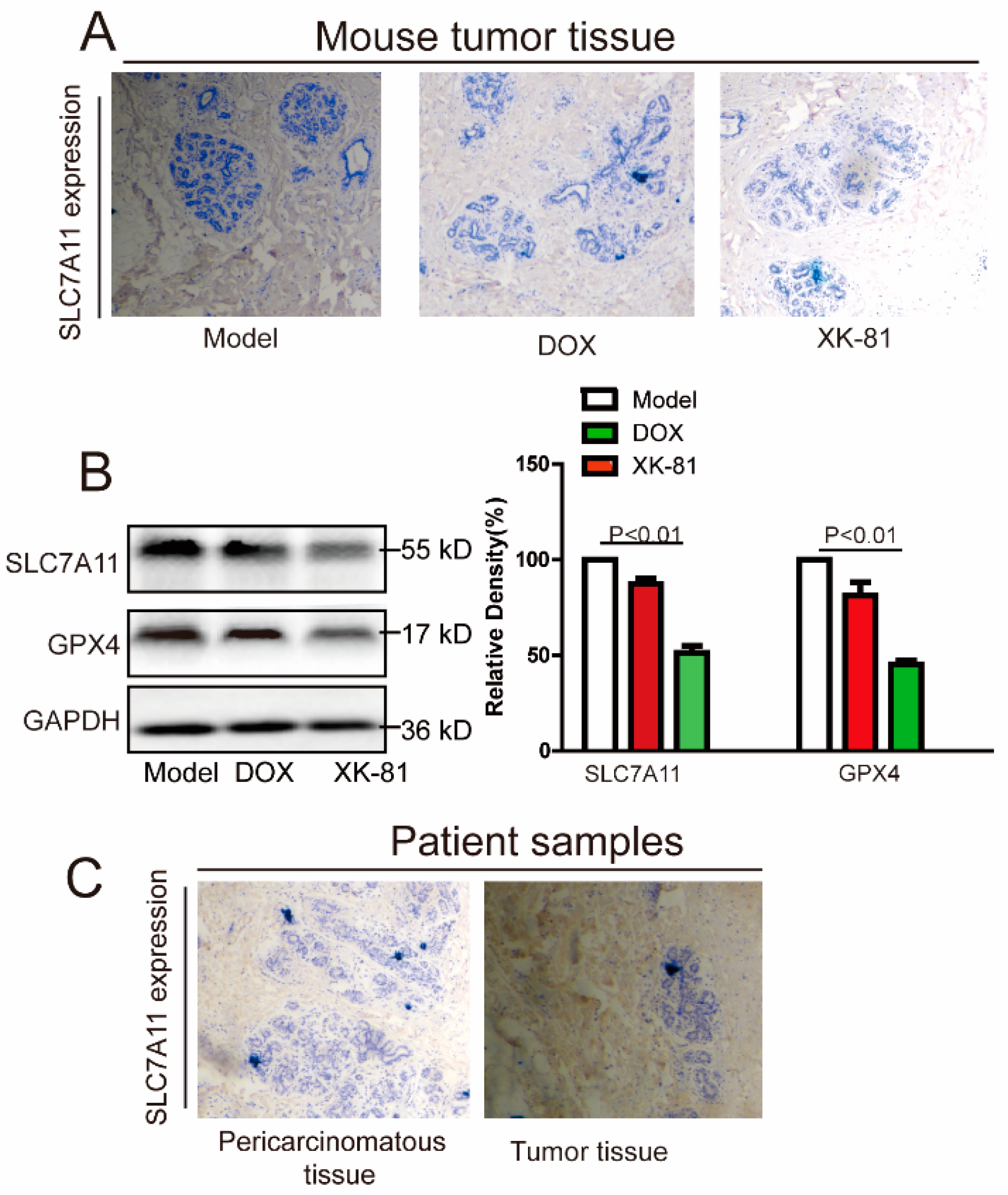 Molecules 28 05349 g006 Molecules 28 05349 g006