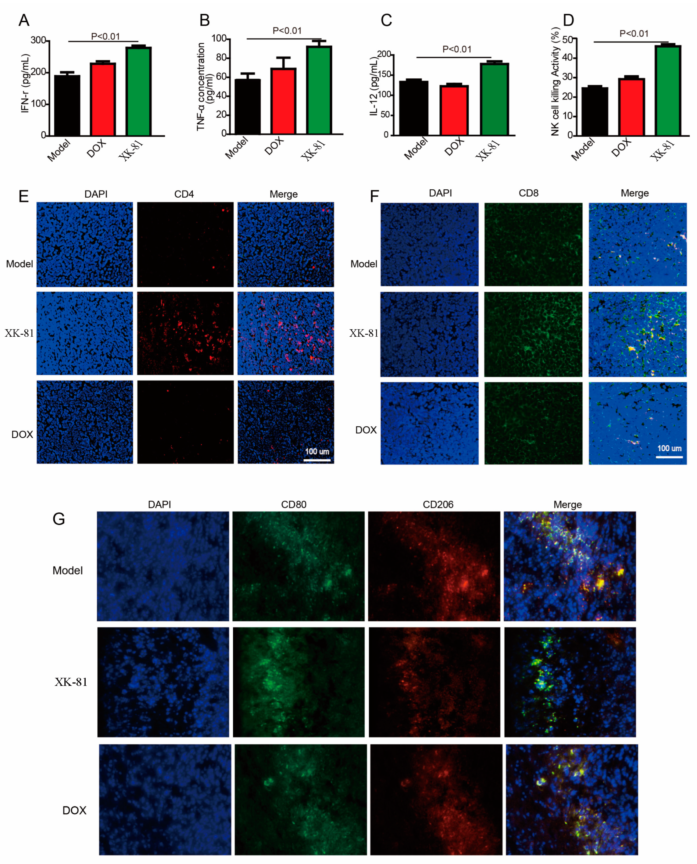 Molecules 28 05349 g007 Molecules 28 05349 g007