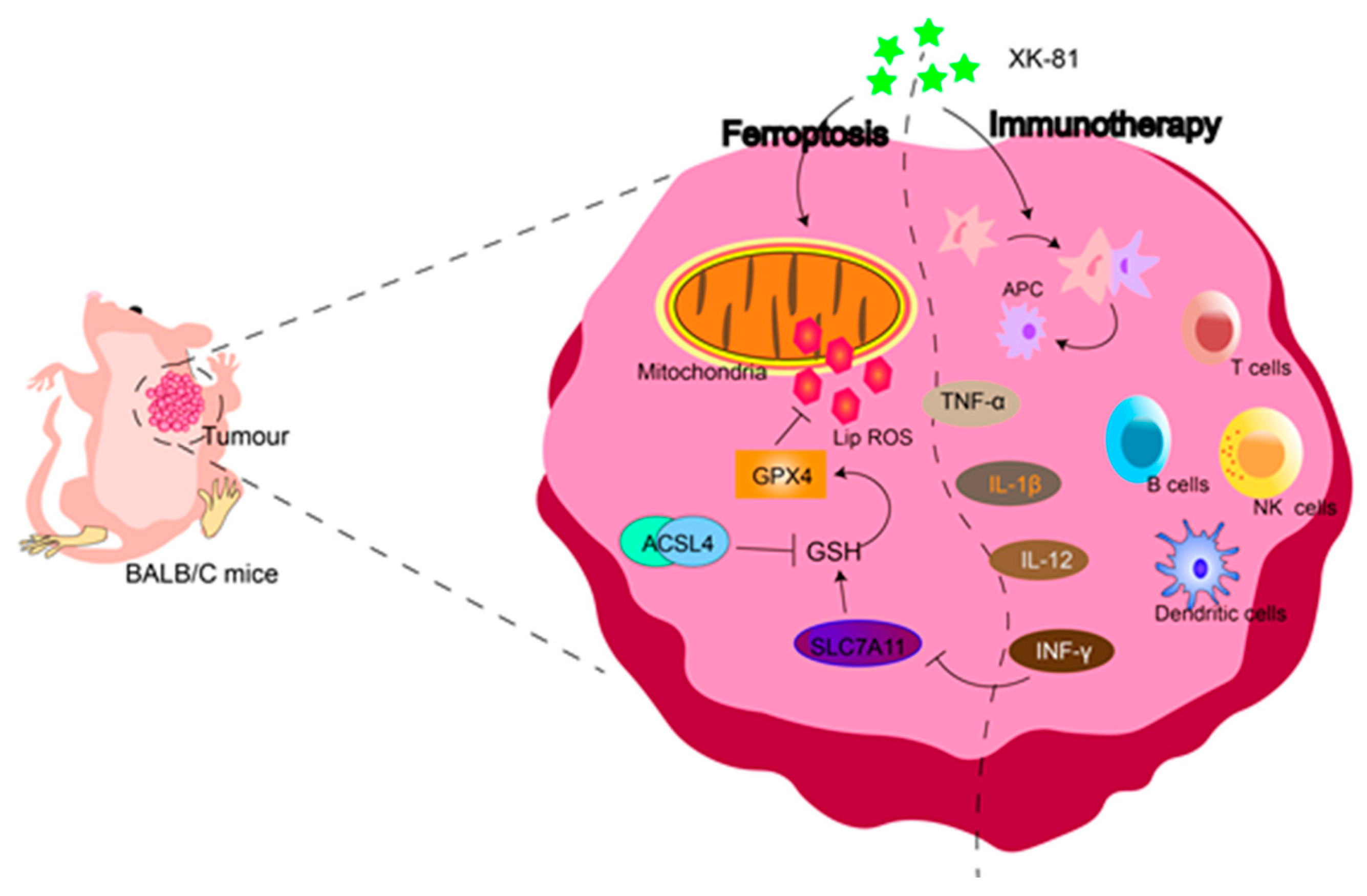 Molecules 28 05349 g009 Molecules 28 05349 g009
