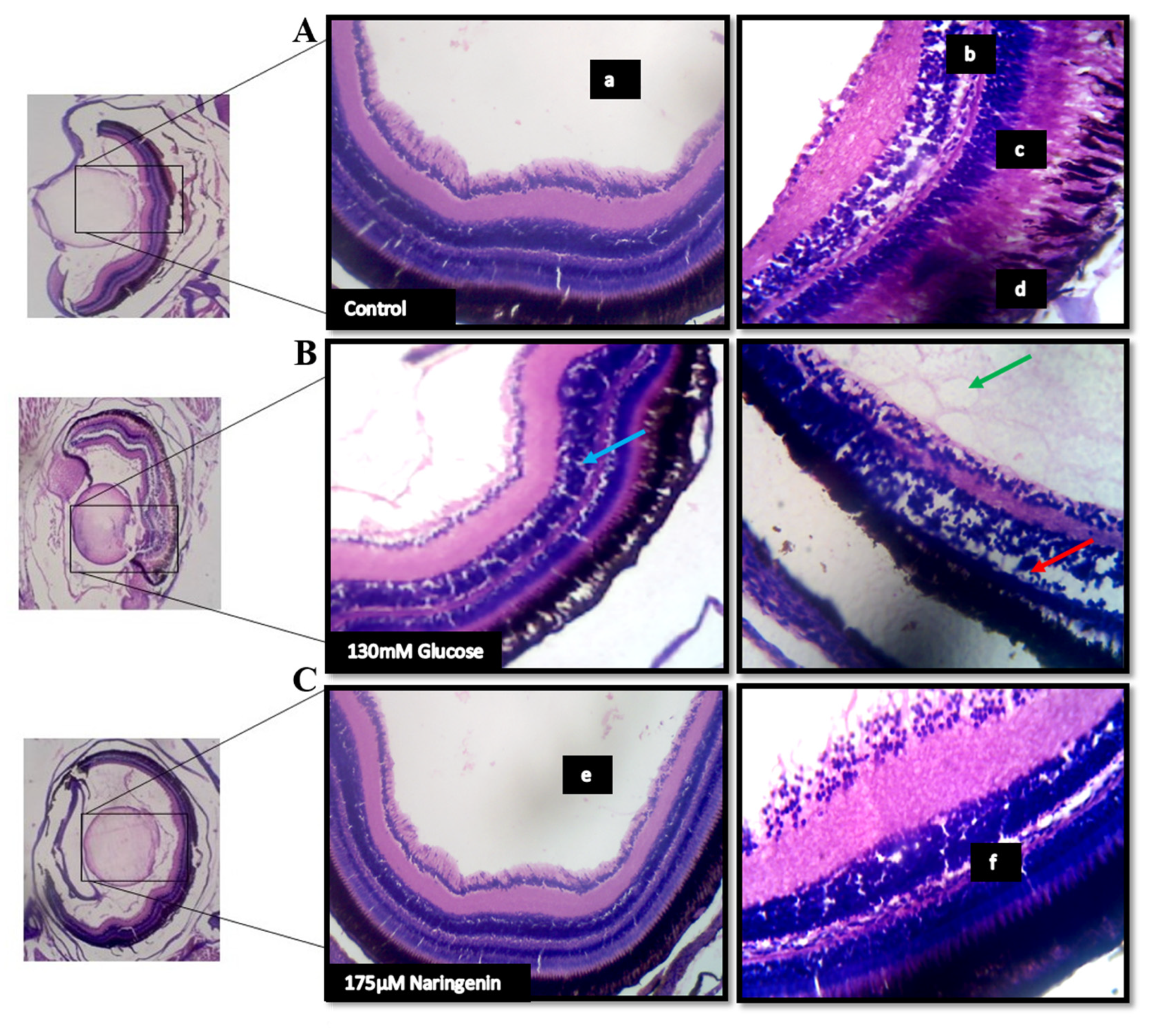 Molecules 28 05350 g007