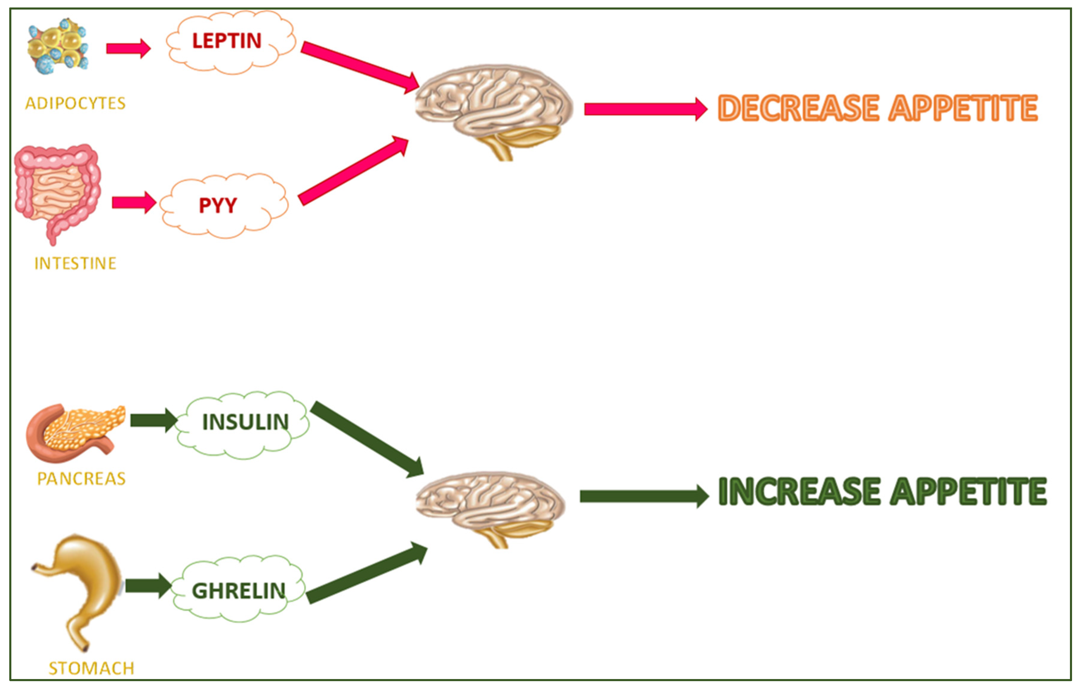 Molecules 28 05357 g002