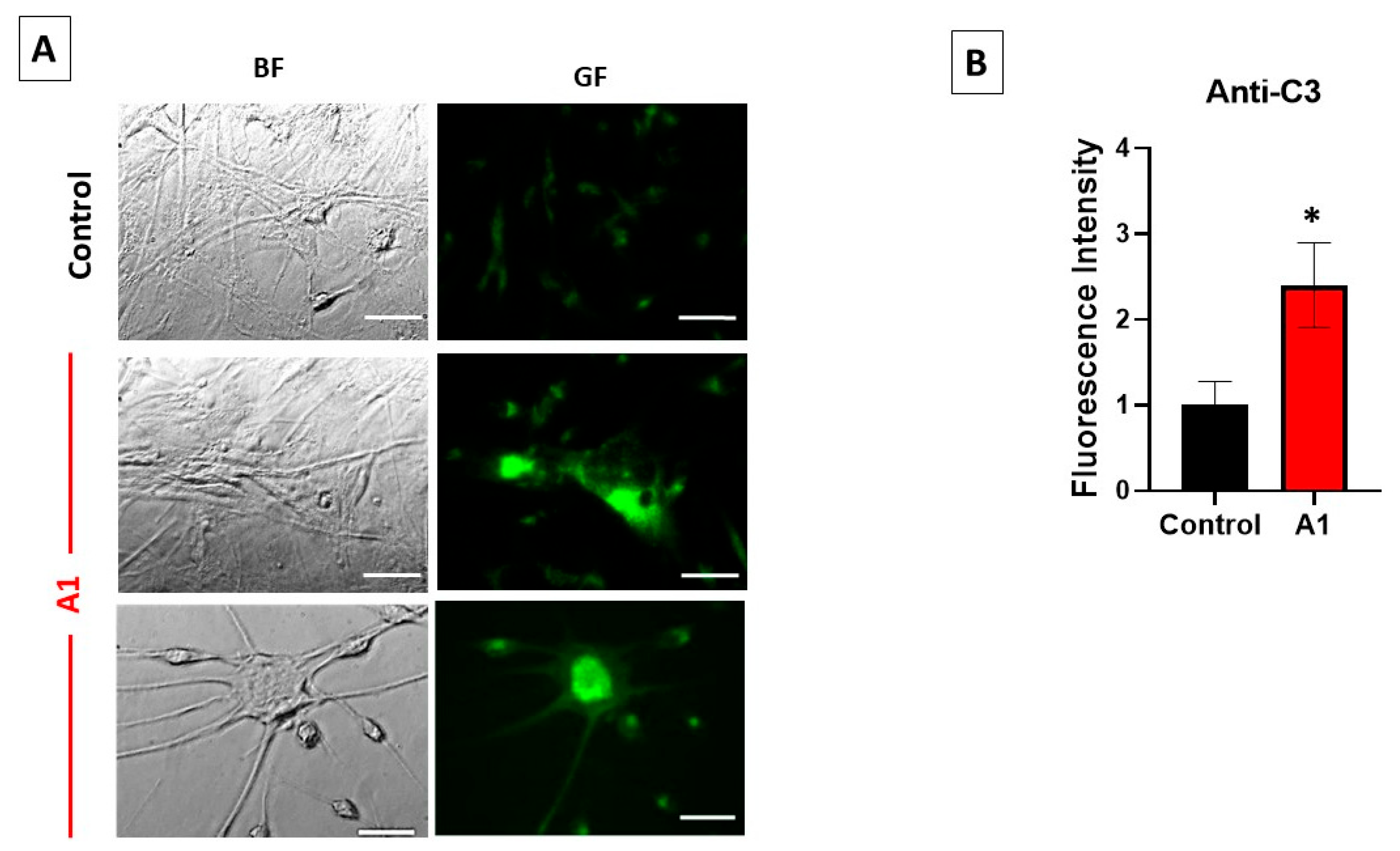 Molecules 28 05363 g001