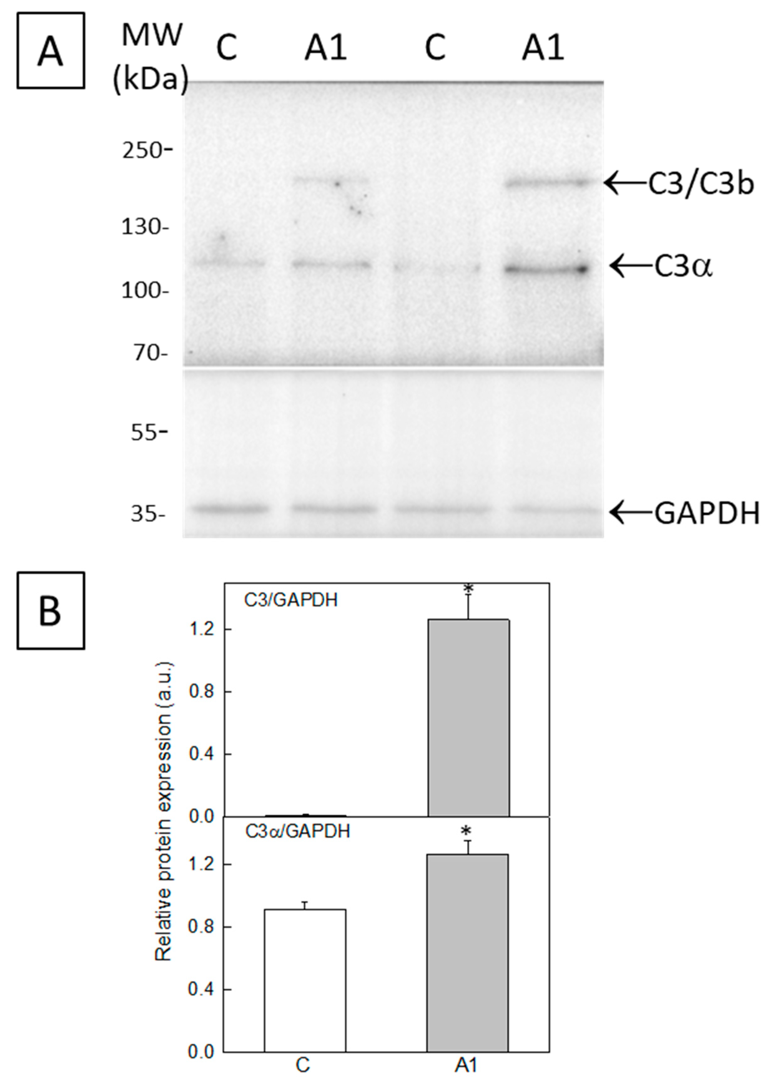 Molecules 28 05363 g002