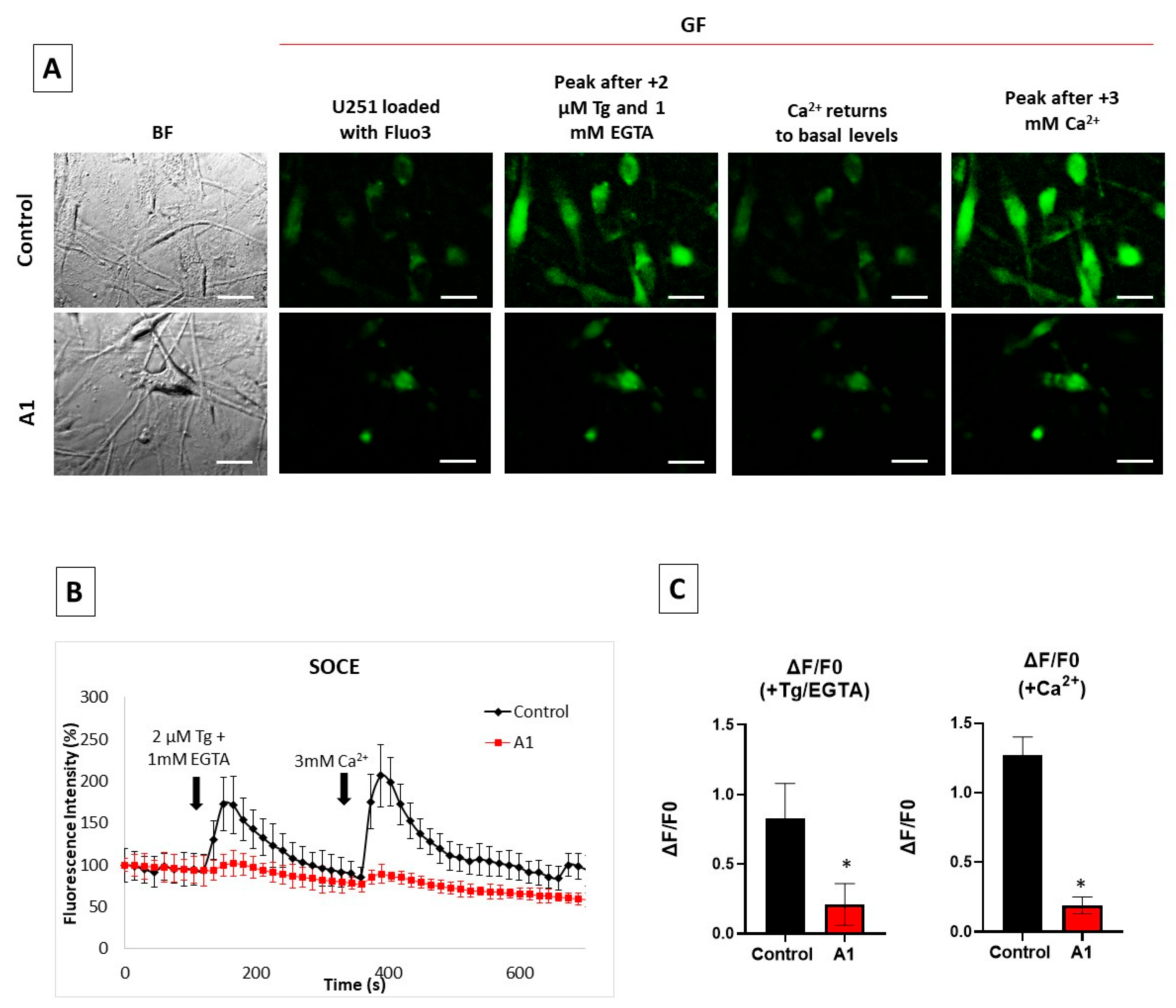 Molecules 28 05363 g004