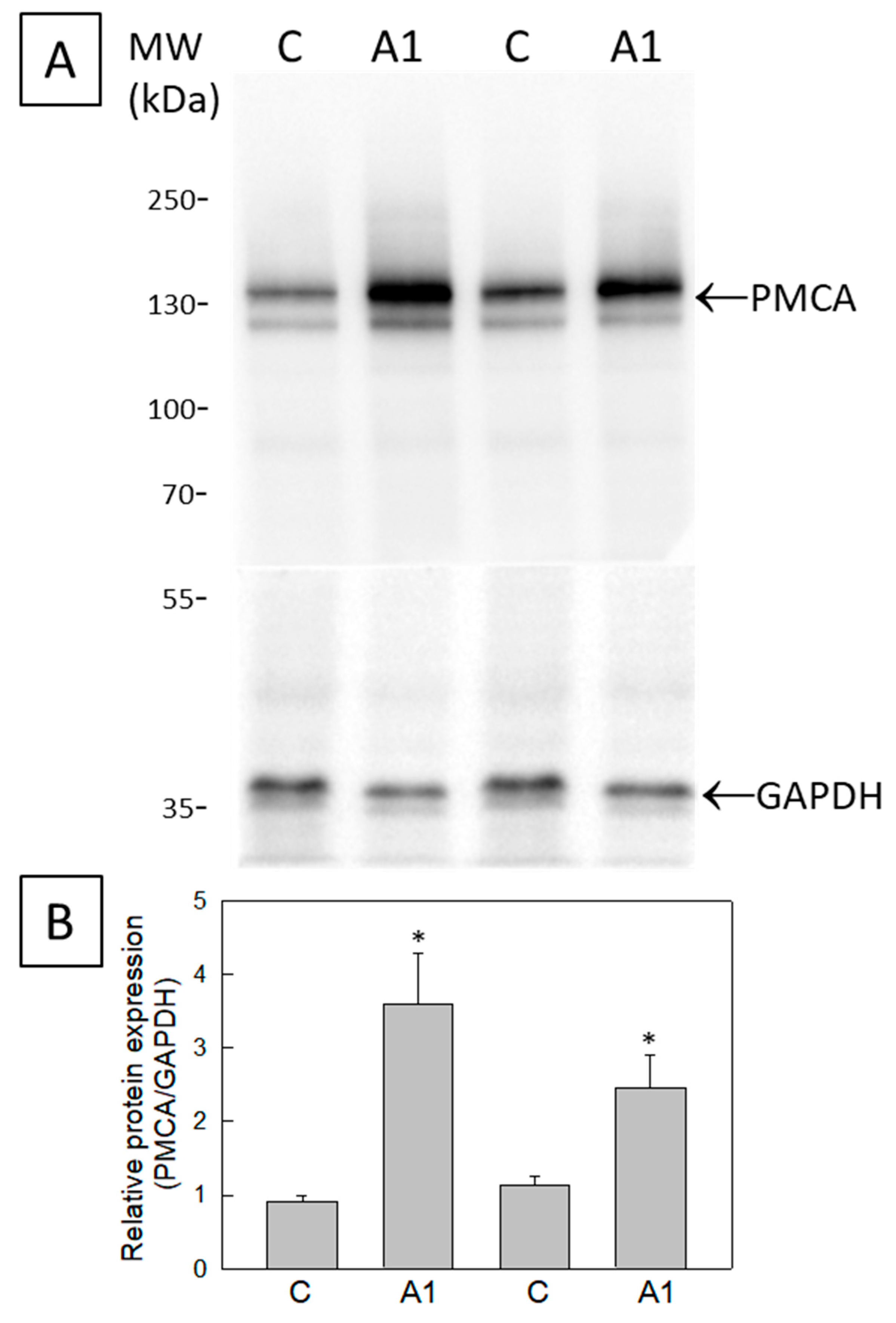 Molecules 28 05363 g005
