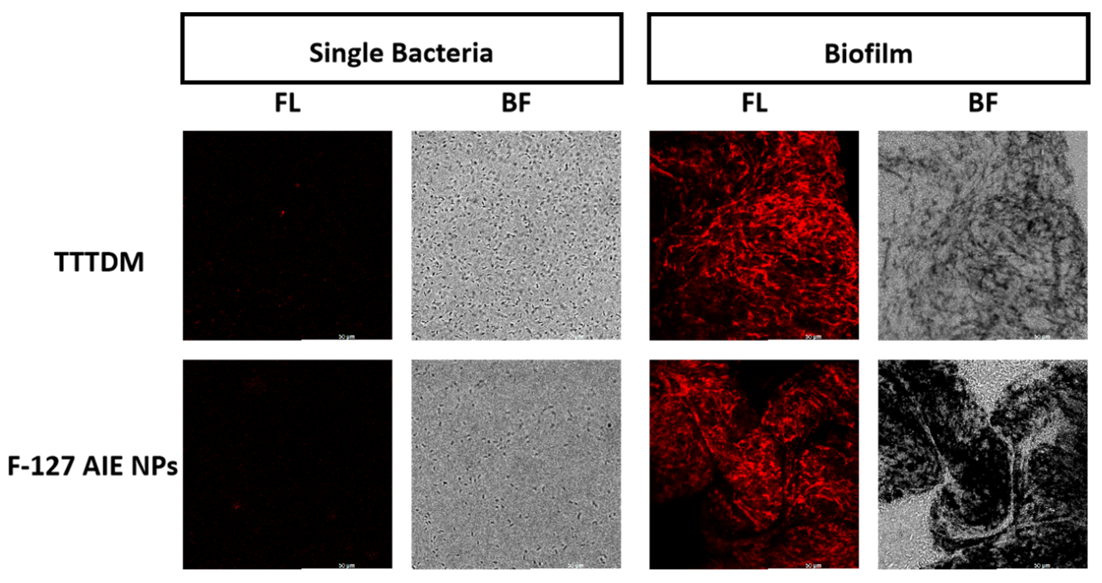 Molecules 28 05368 g004 Molecules 28 05368 g004