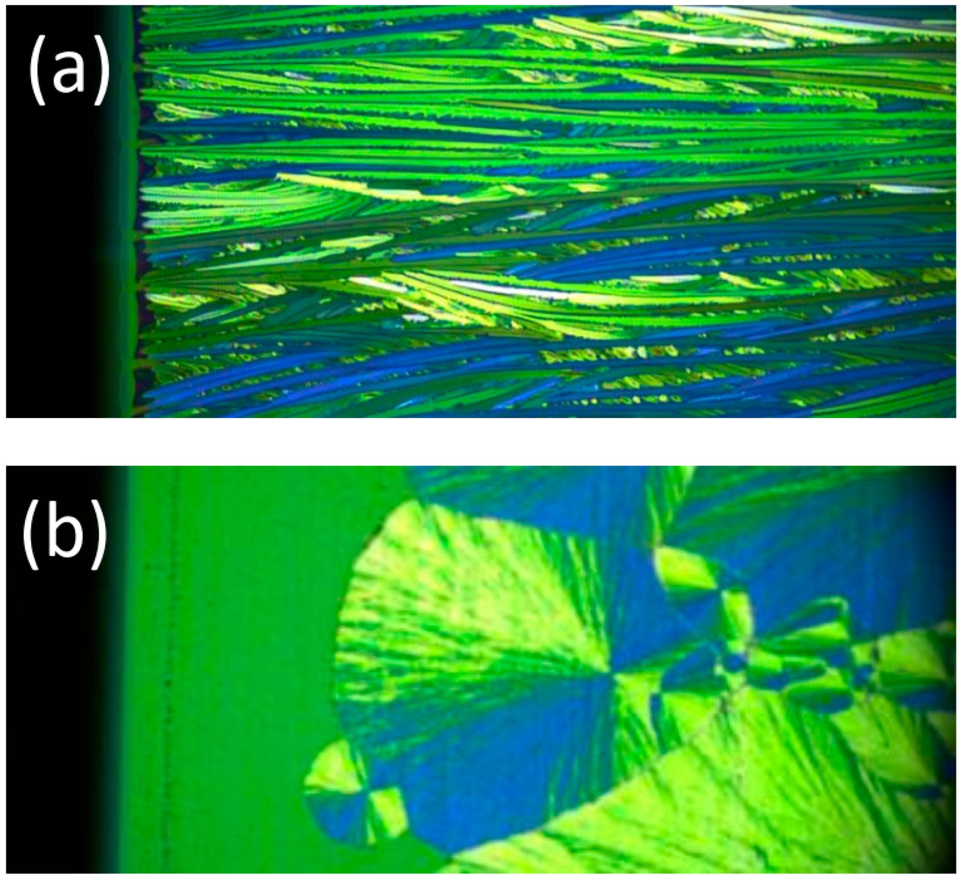 Molecules 28 05371 g003 Molecules 28 05371 g003