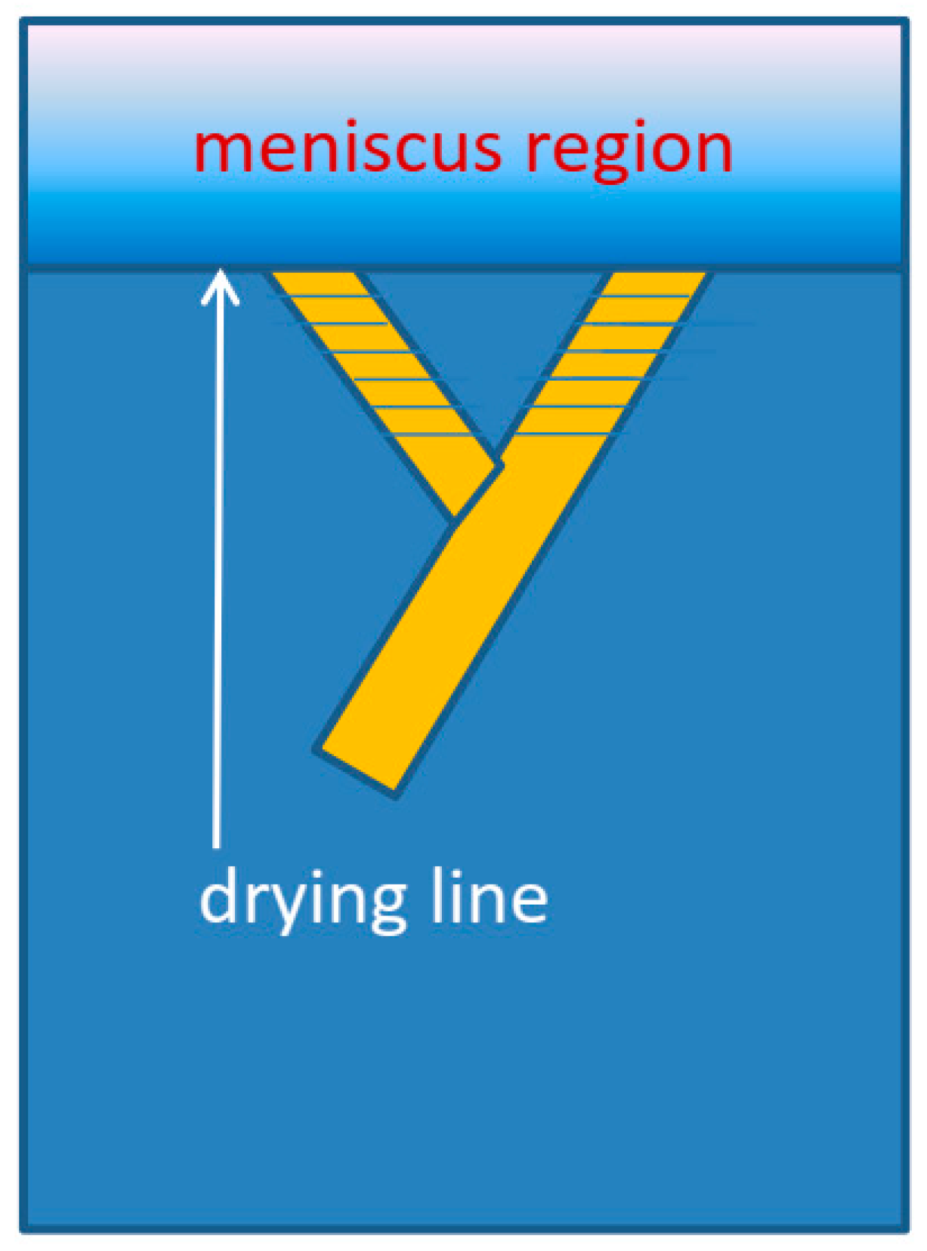 Molecules 28 05371 g004 Molecules 28 05371 g004
