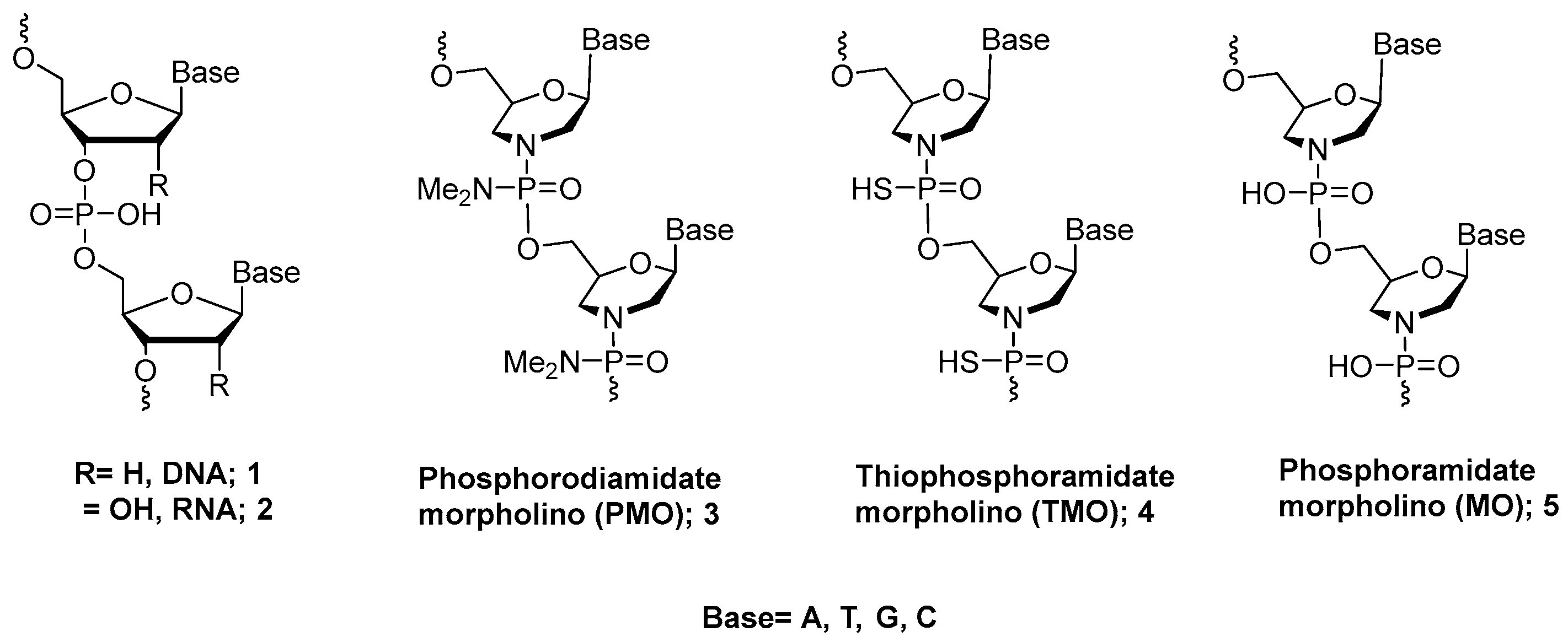 Molecules 28 05380 g001
