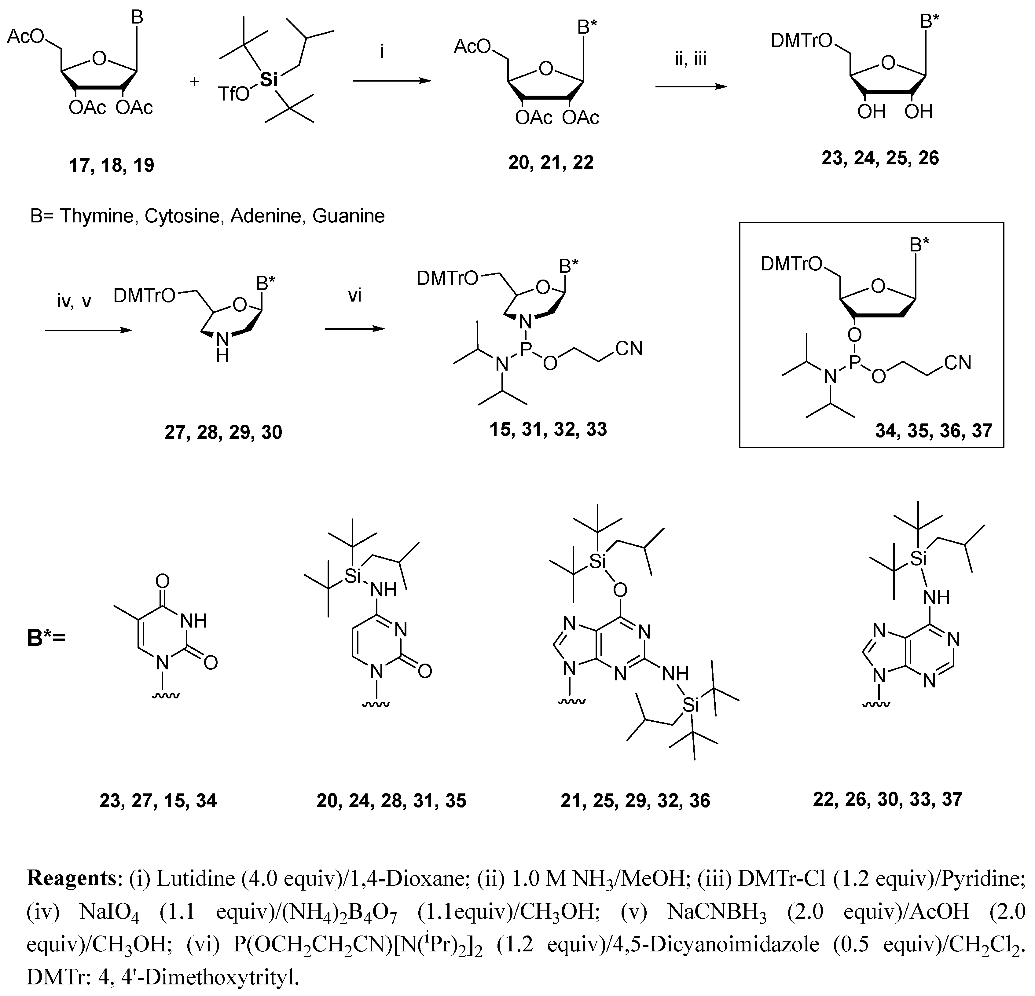 Molecules 28 05380 sch003