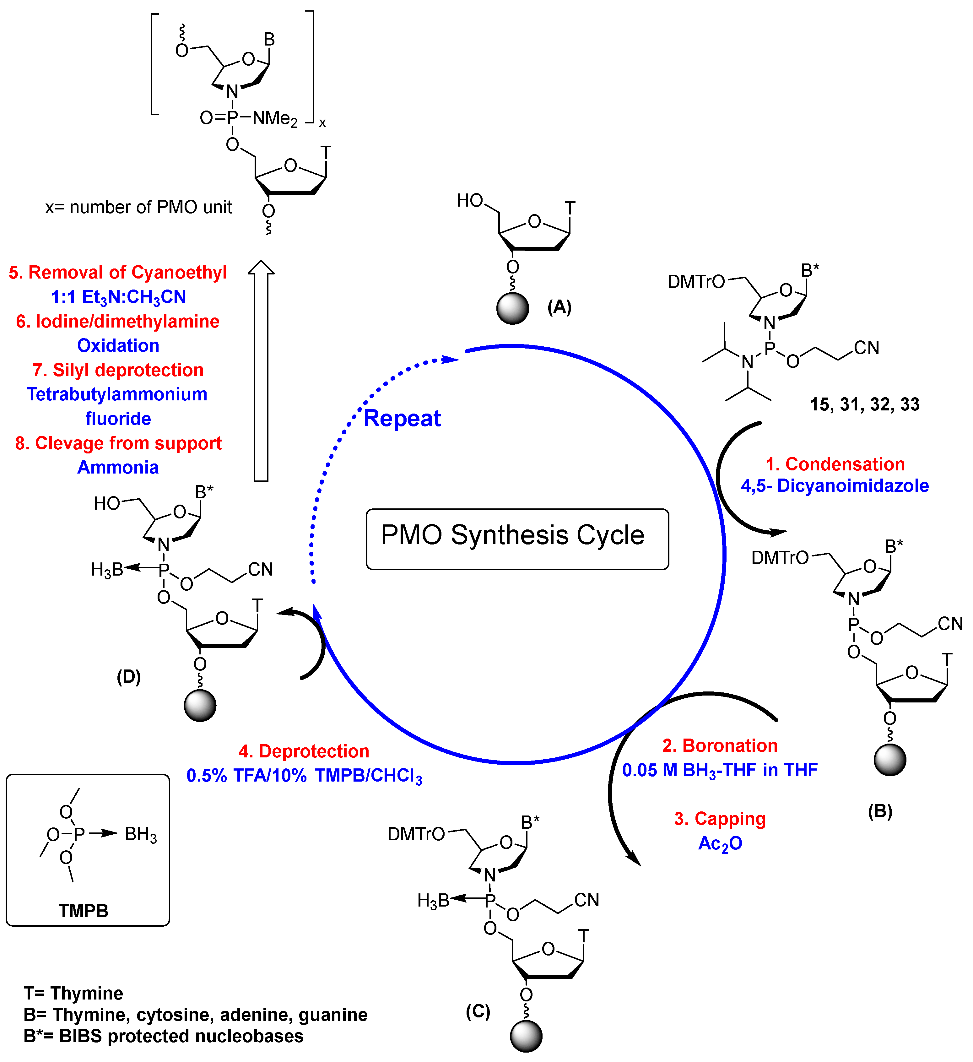 Molecules 28 05380 sch004