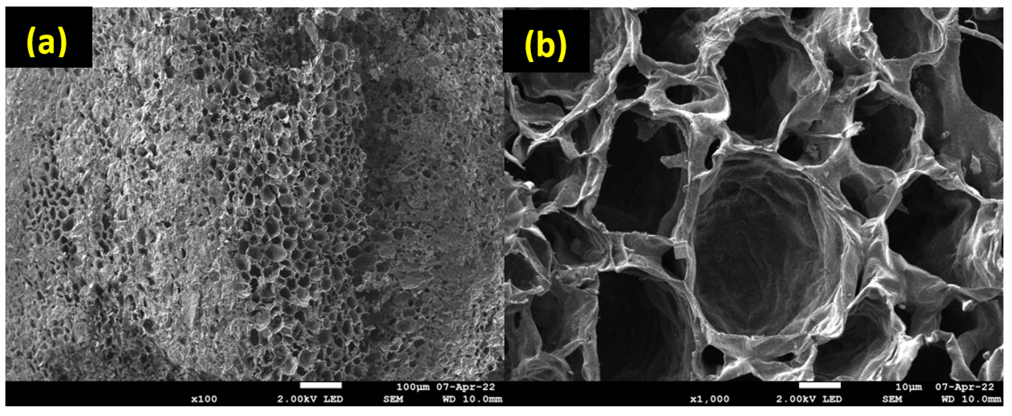 Molecules 28 05381 g005