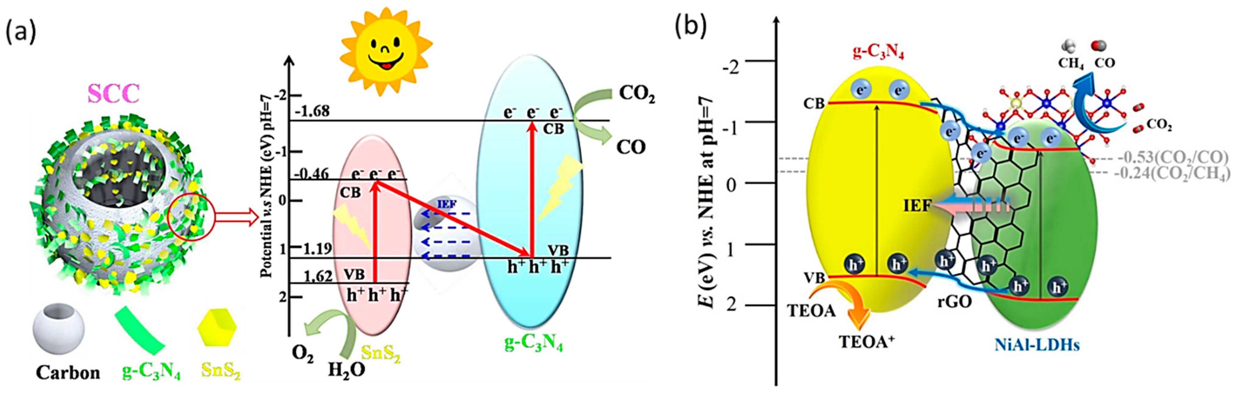 Molecules 28 05383 g005