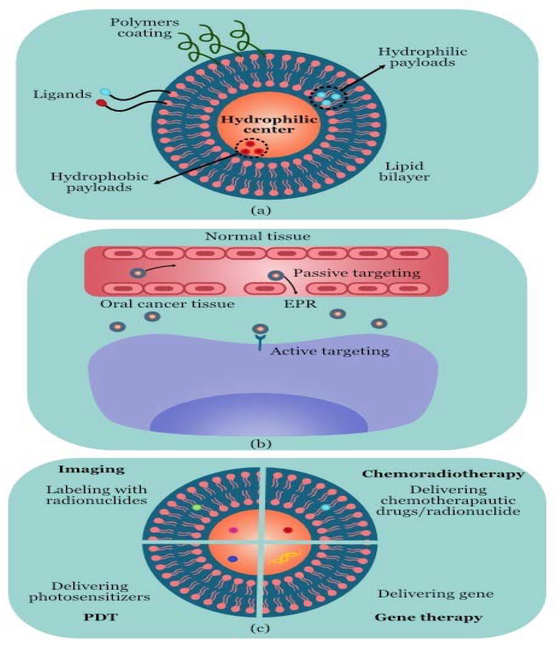 Molecules 28 05395 g001