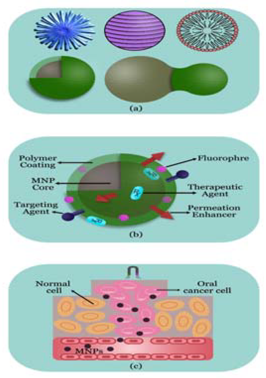 Molecules 28 05395 g003