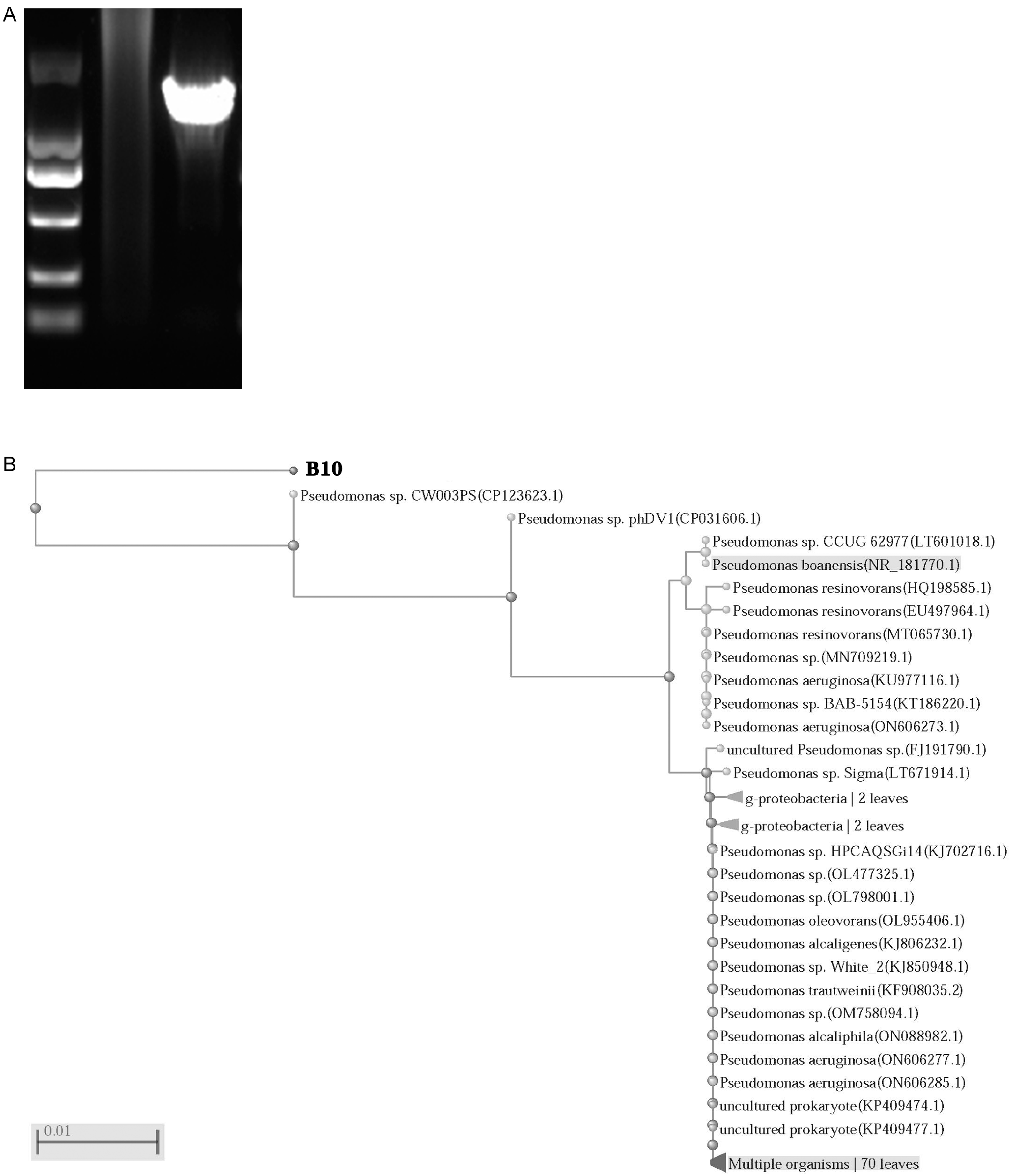 Molecules 28 05403 g002