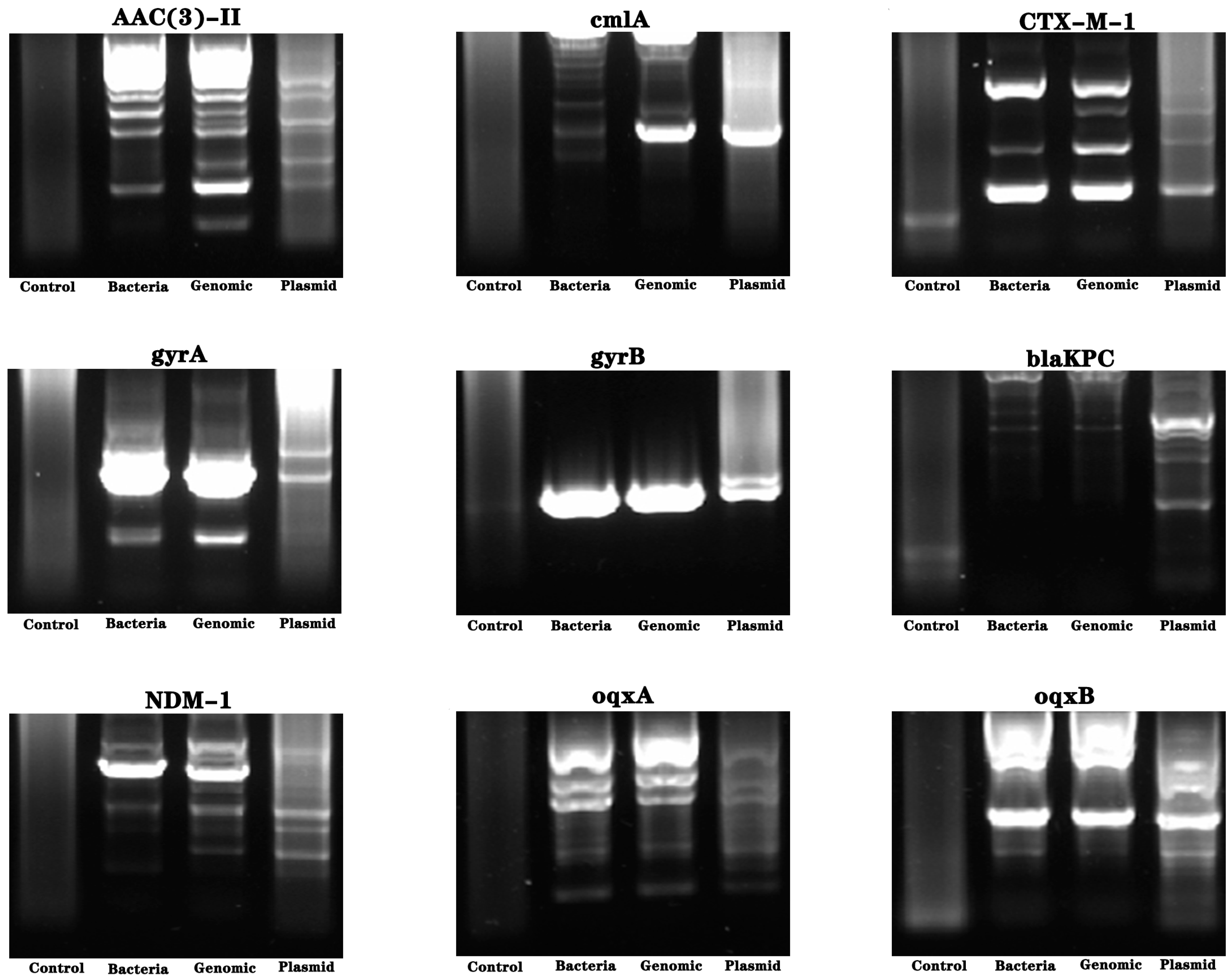 Molecules 28 05403 g004