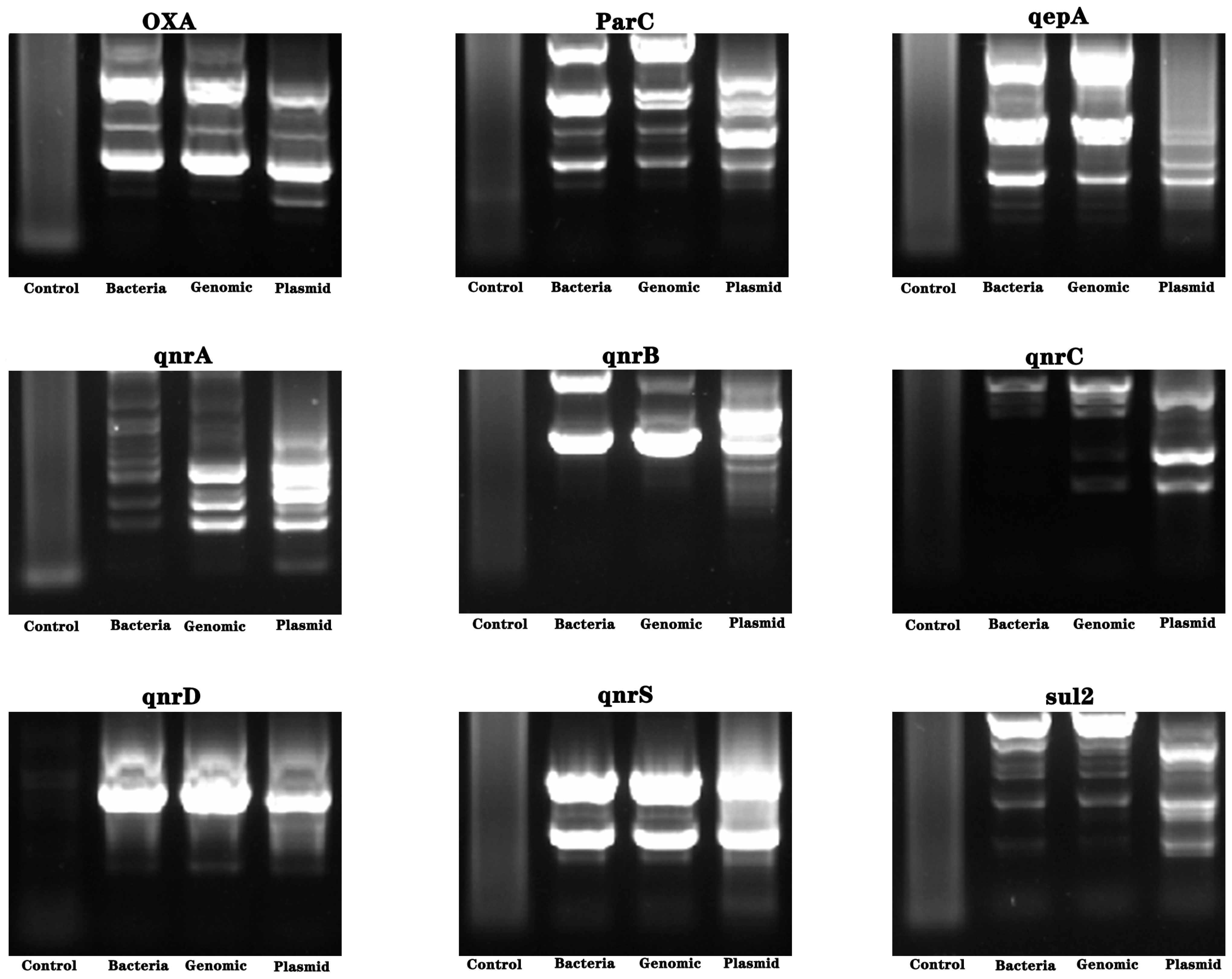 Molecules 28 05403 g005
