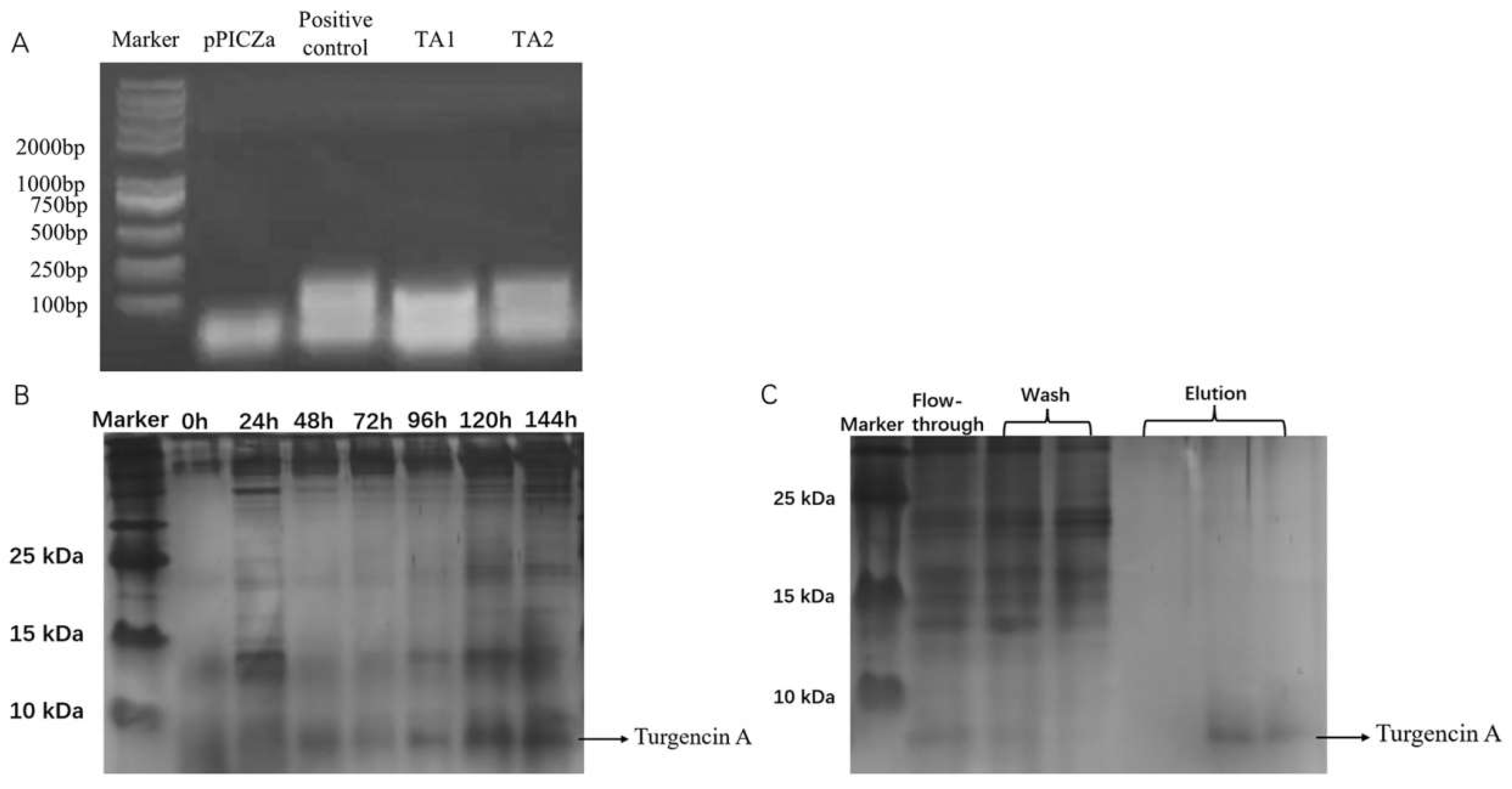 Molecules 28 05405 g002 Molecules 28 05405 g002