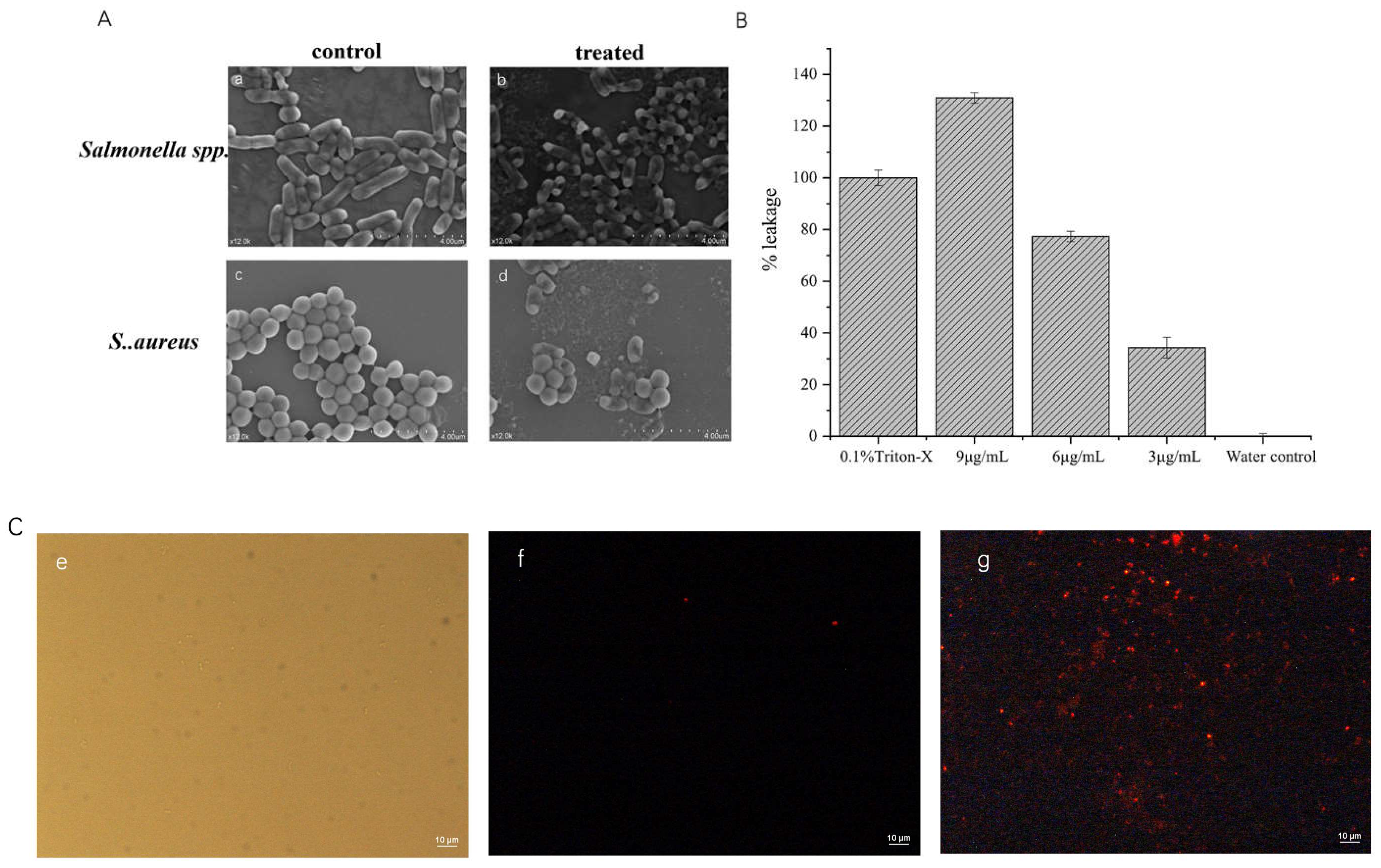 Molecules 28 05405 g005 Molecules 28 05405 g005