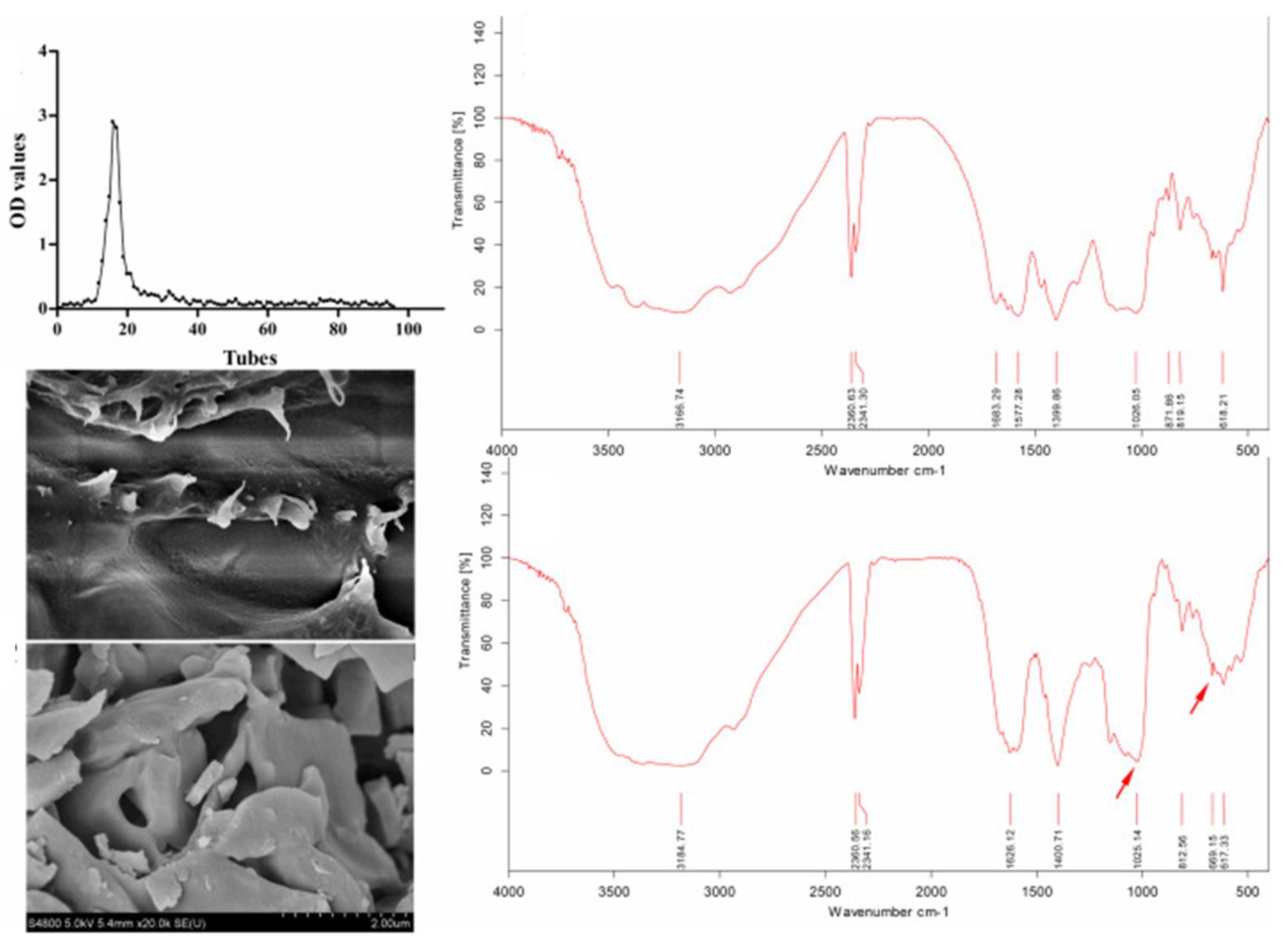 Molecules 28 05416 g010