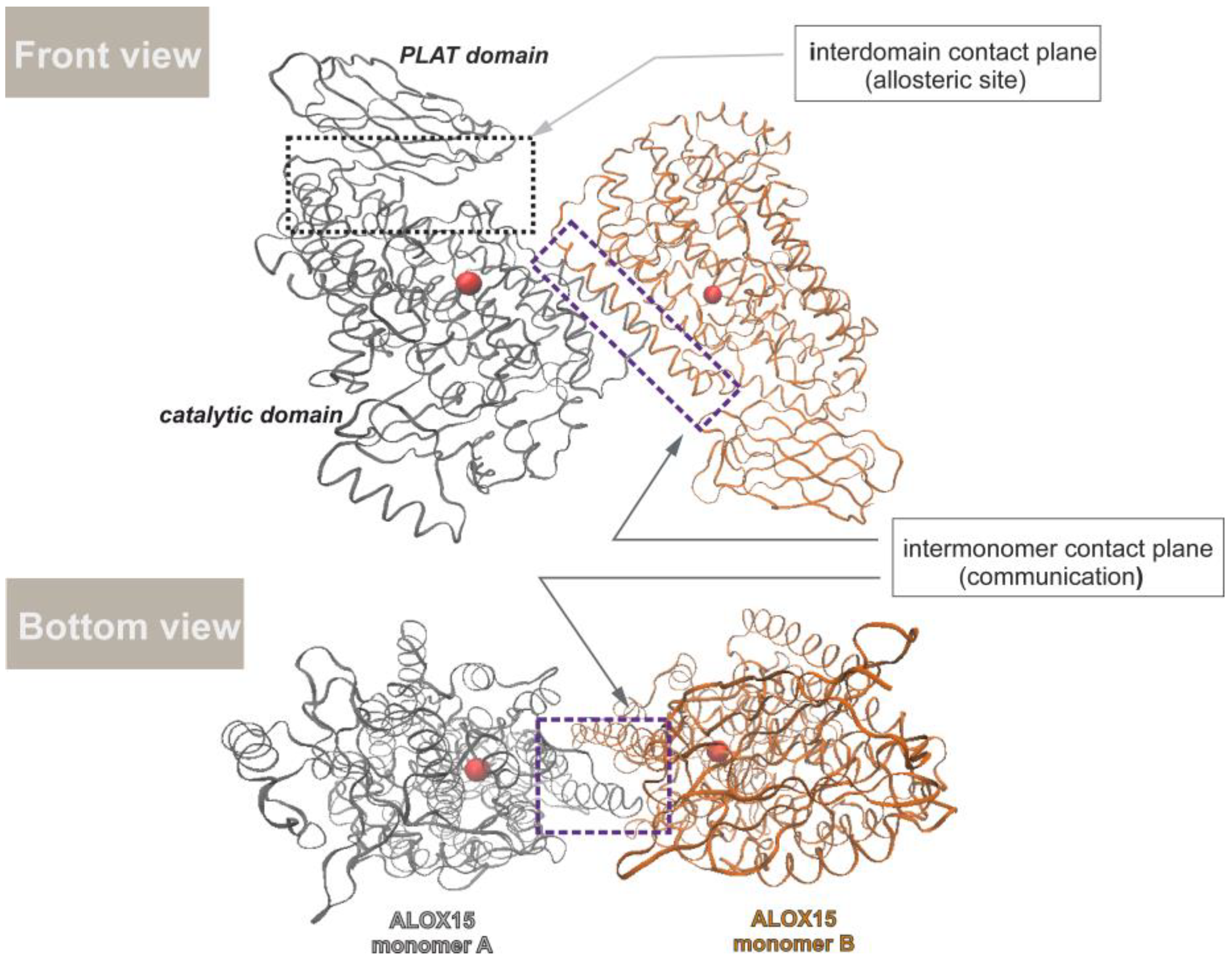 Molecules 28 05418 g006
