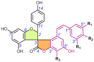 Molecules 28 05420 i011