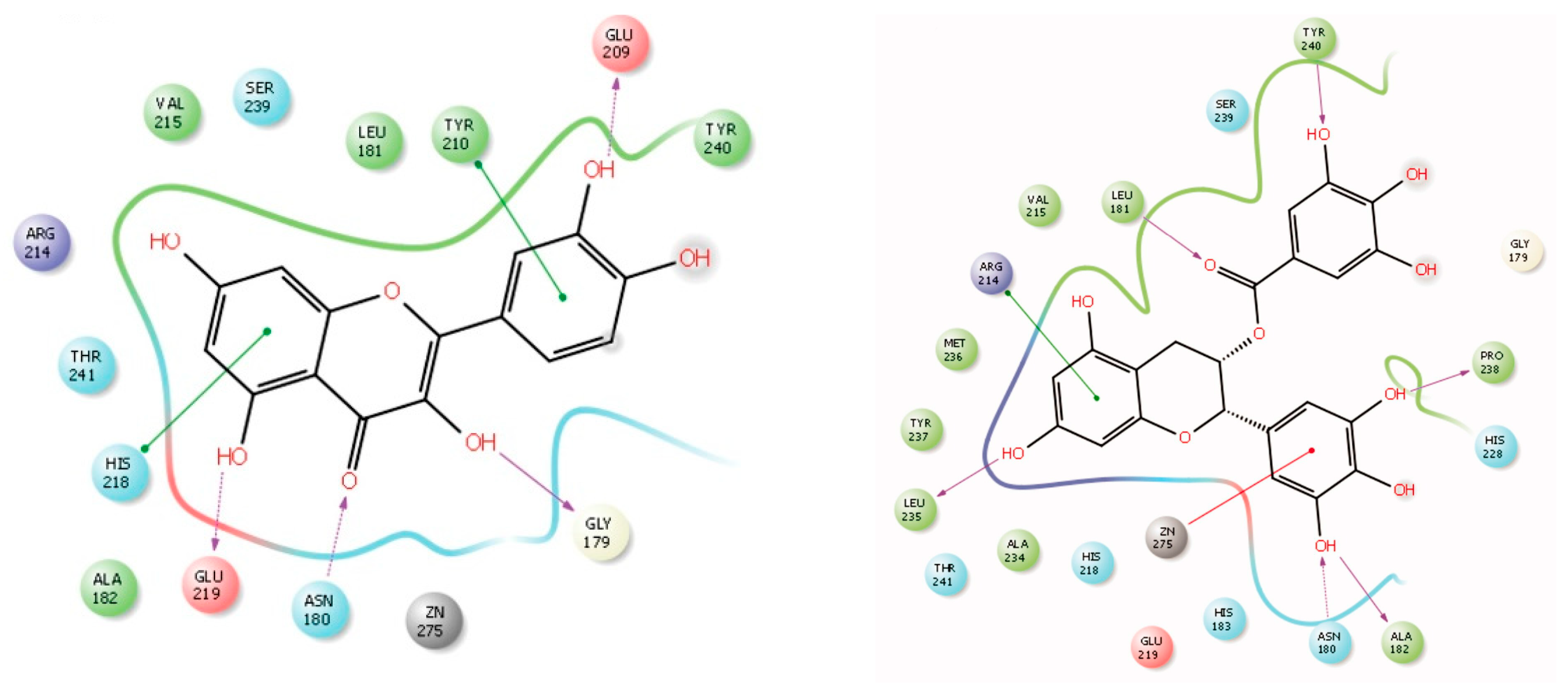 Molecules 28 05426 g003