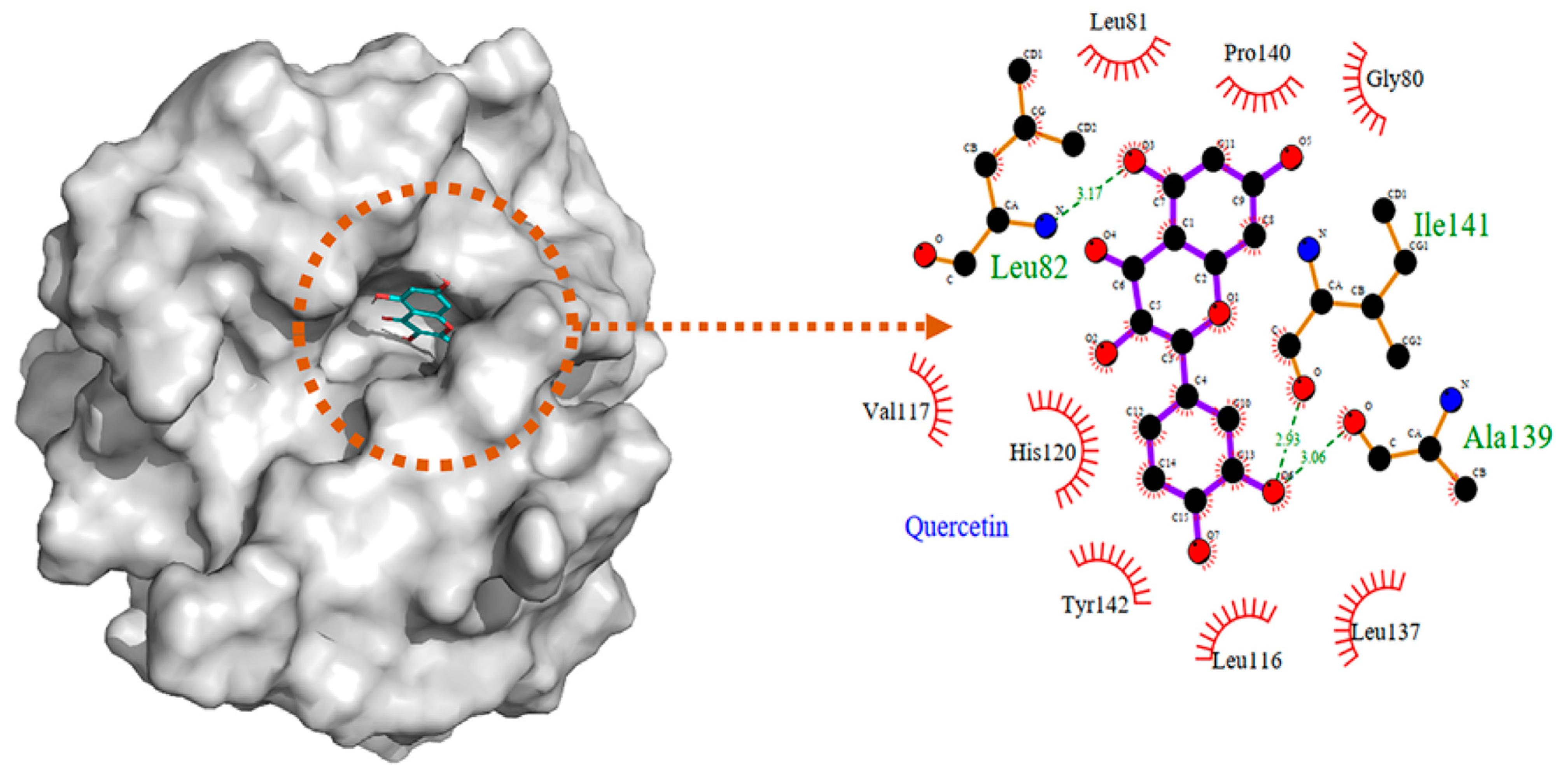 Molecules 28 05426 g008