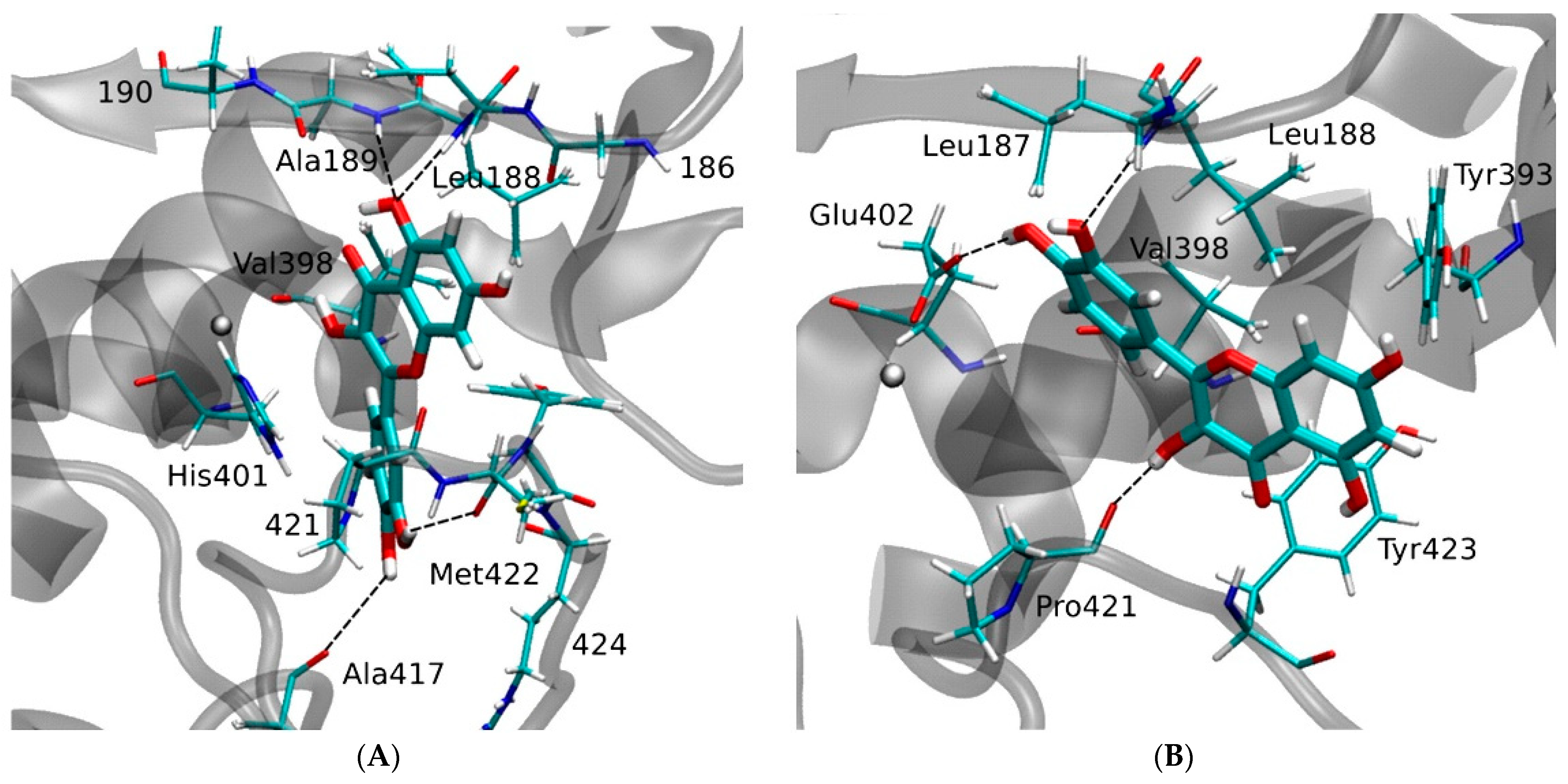 Molecules 28 05426 g017