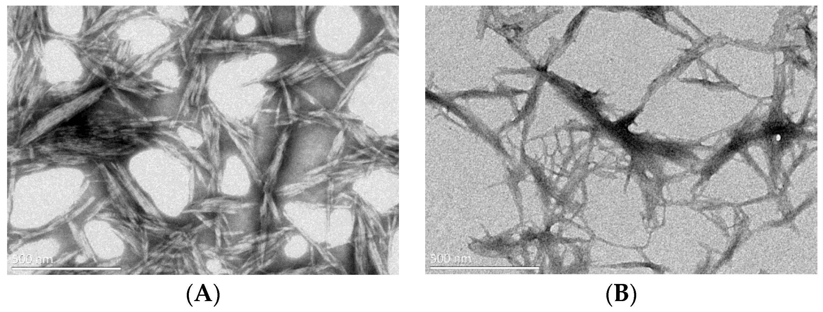 Molecules 28 05444 g005 Molecules 28 05444 g005