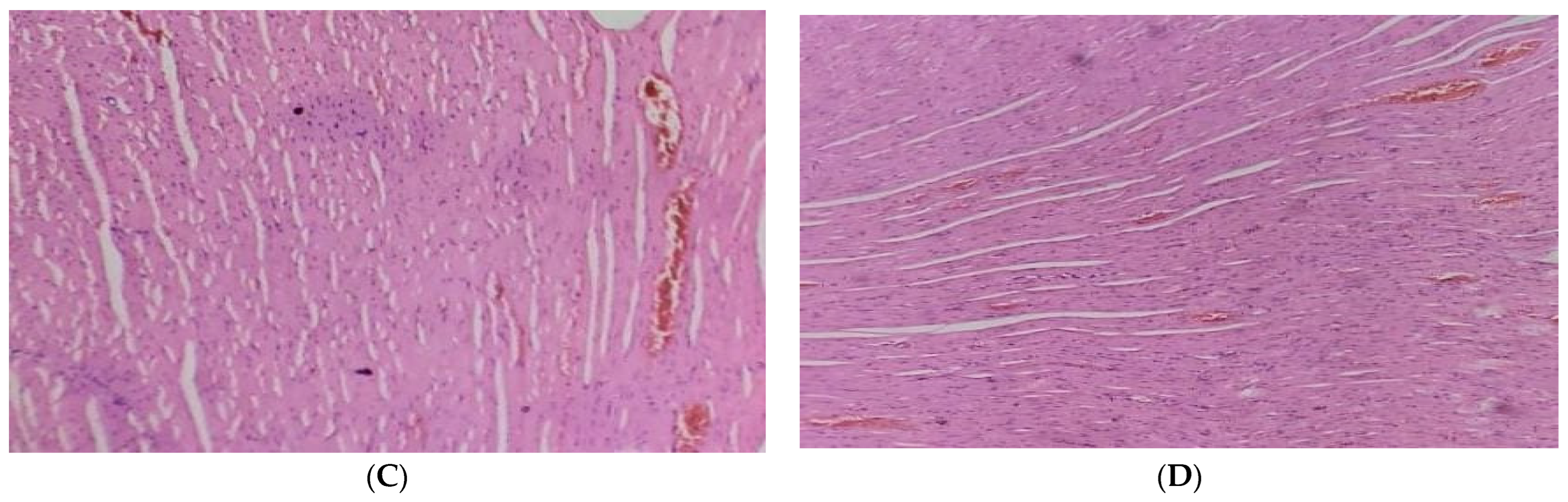 Molecules 28 05453 g004b Molecules 28 05453 g004b