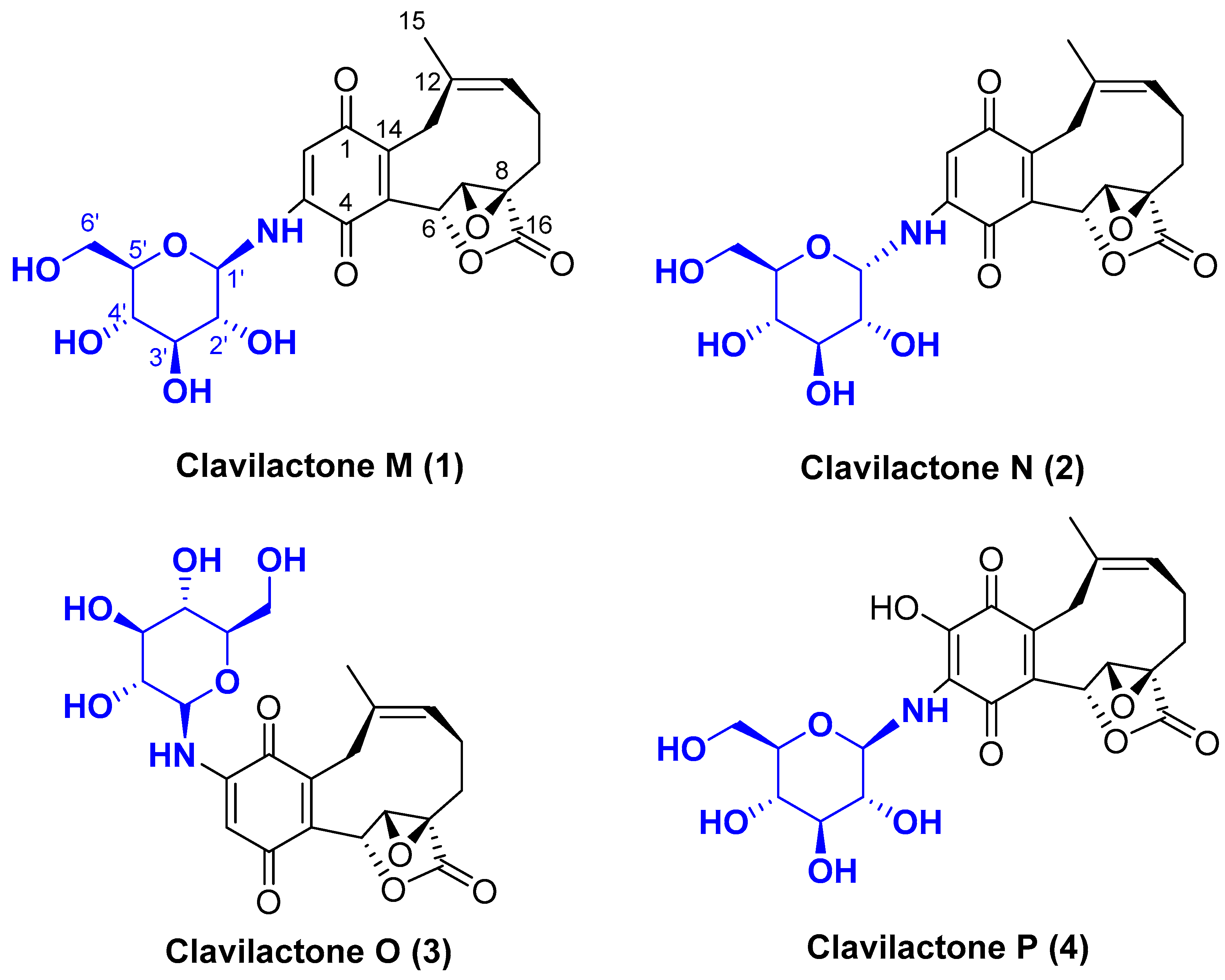 Molecules 28 05456 g001