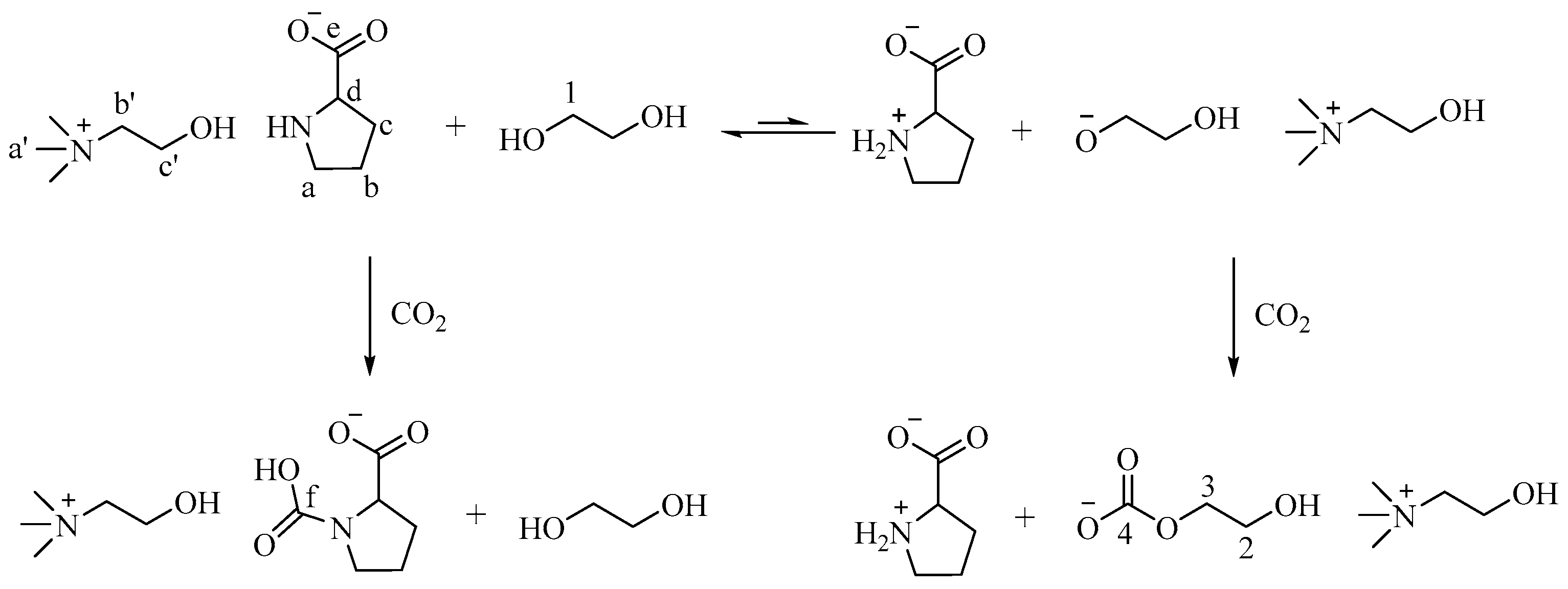 Molecules 28 05461 sch002