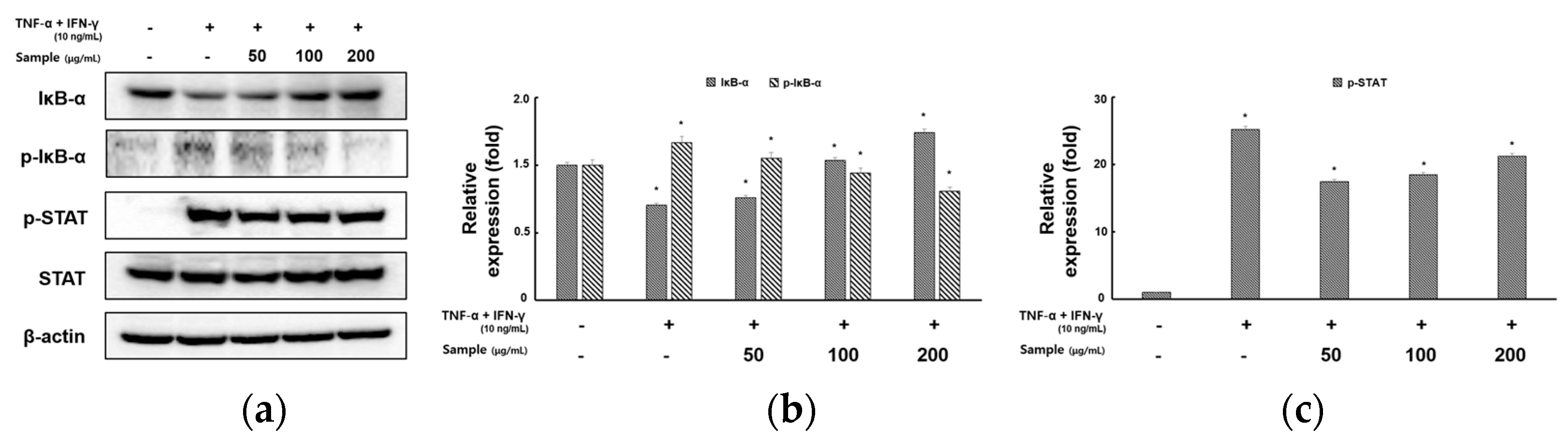 Molecules 28 05463 g004 Molecules 28 05463 g004