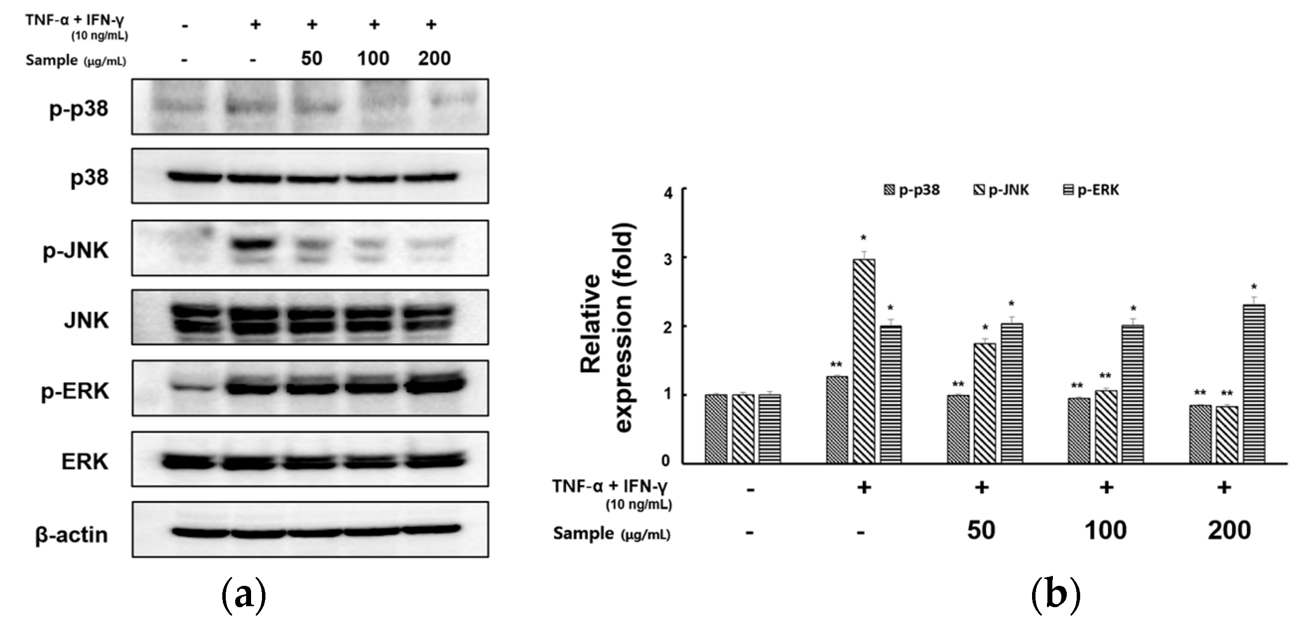 Molecules 28 05463 g005 Molecules 28 05463 g005