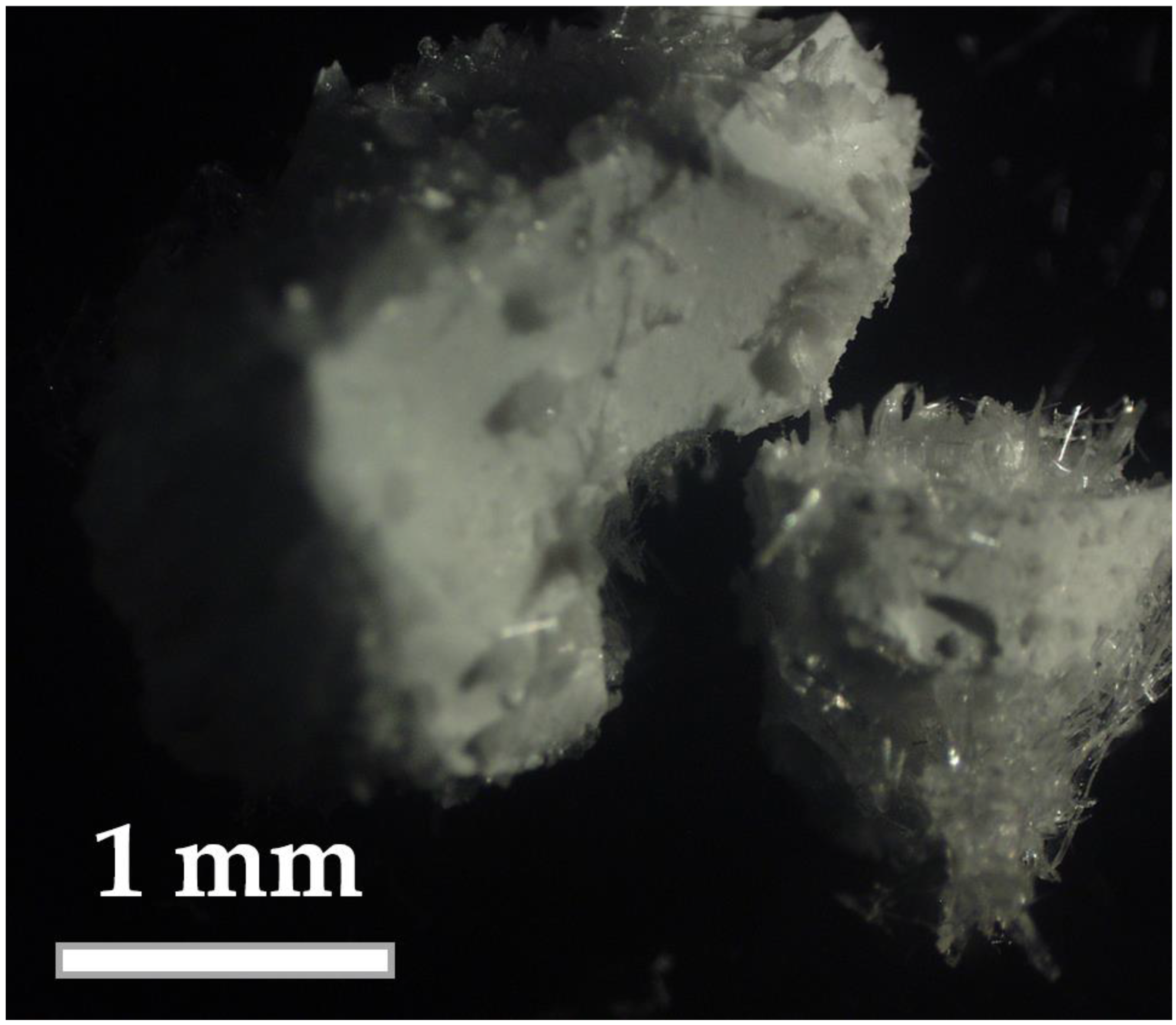 Molecules 28 05466 g001