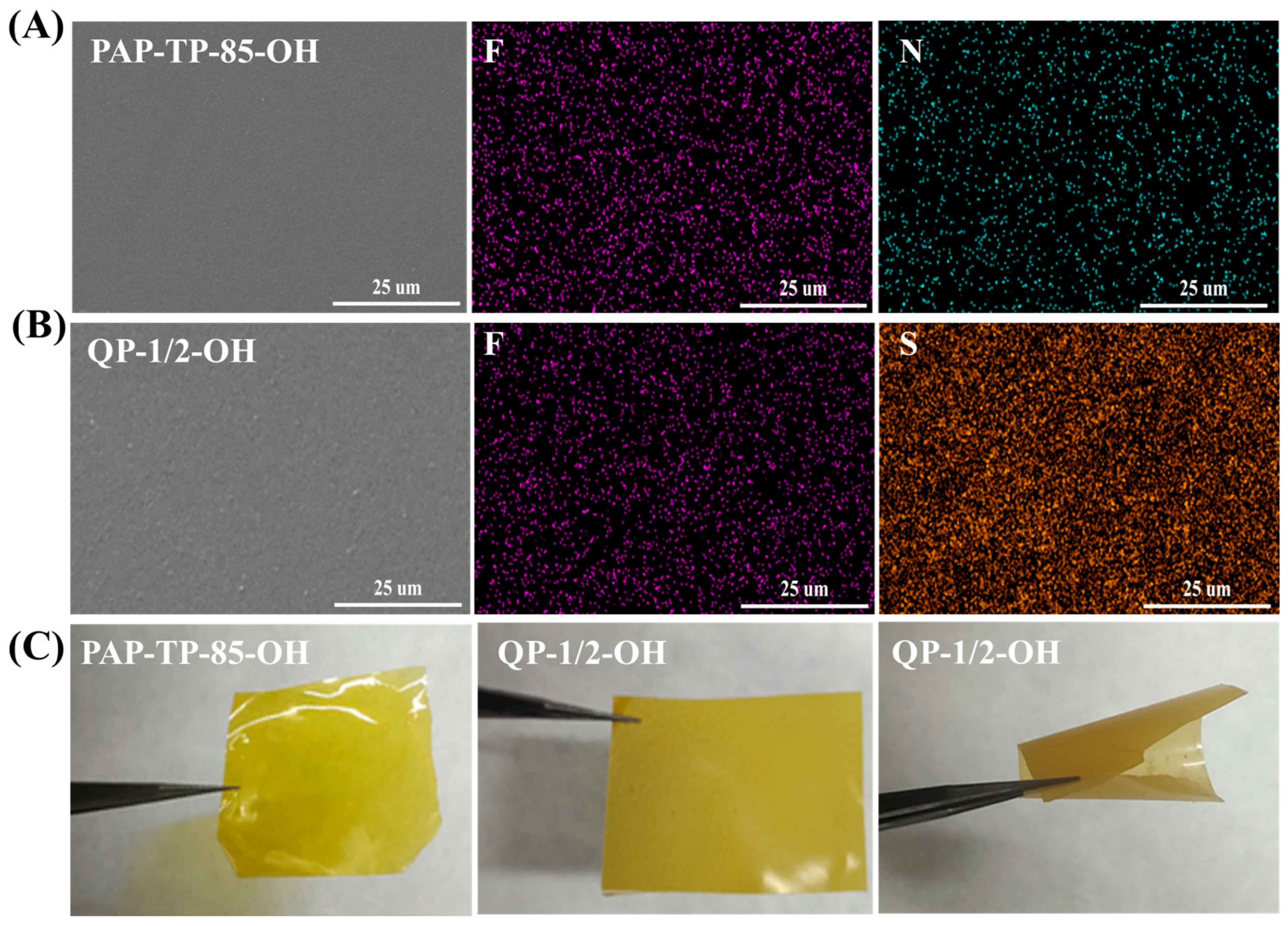 Molecules 28 05470 g001