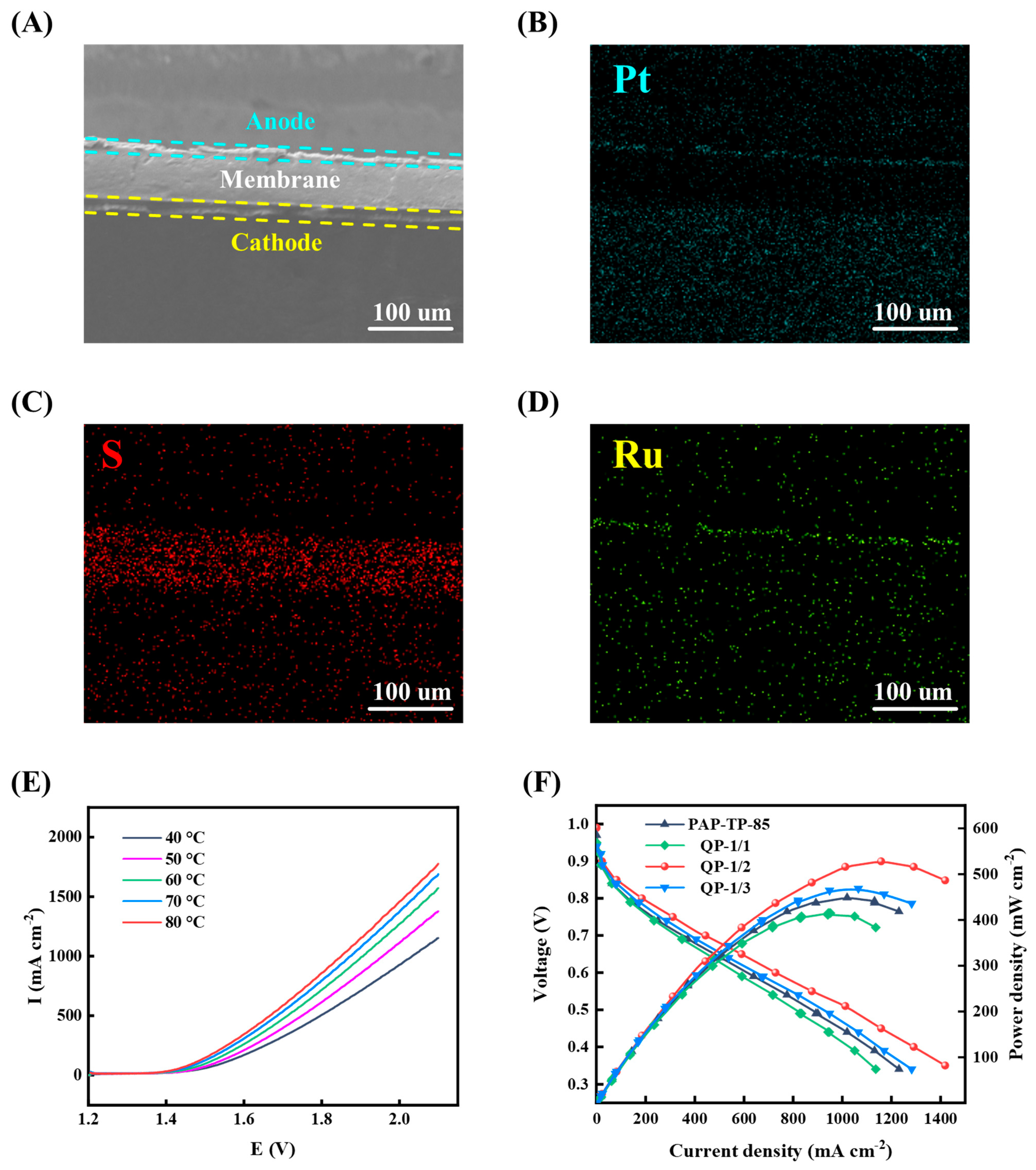 Molecules 28 05470 g005