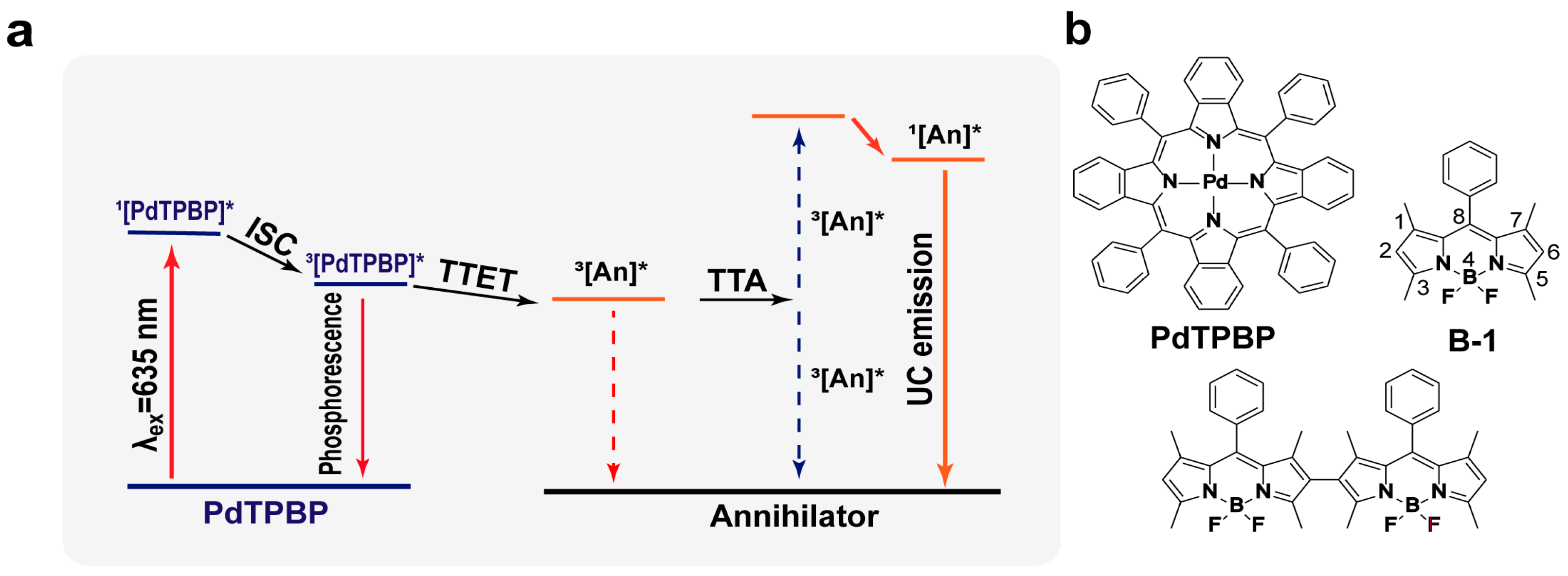 Molecules 28 05474 g001 Molecules 28 05474 g001