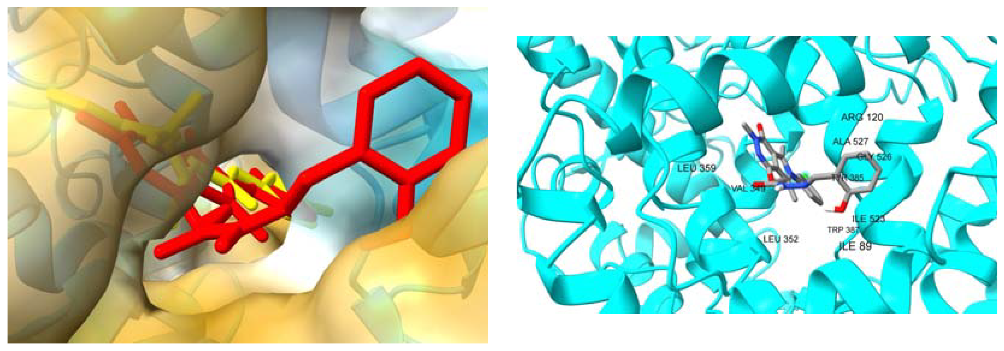 Molecules 28 05479 g005