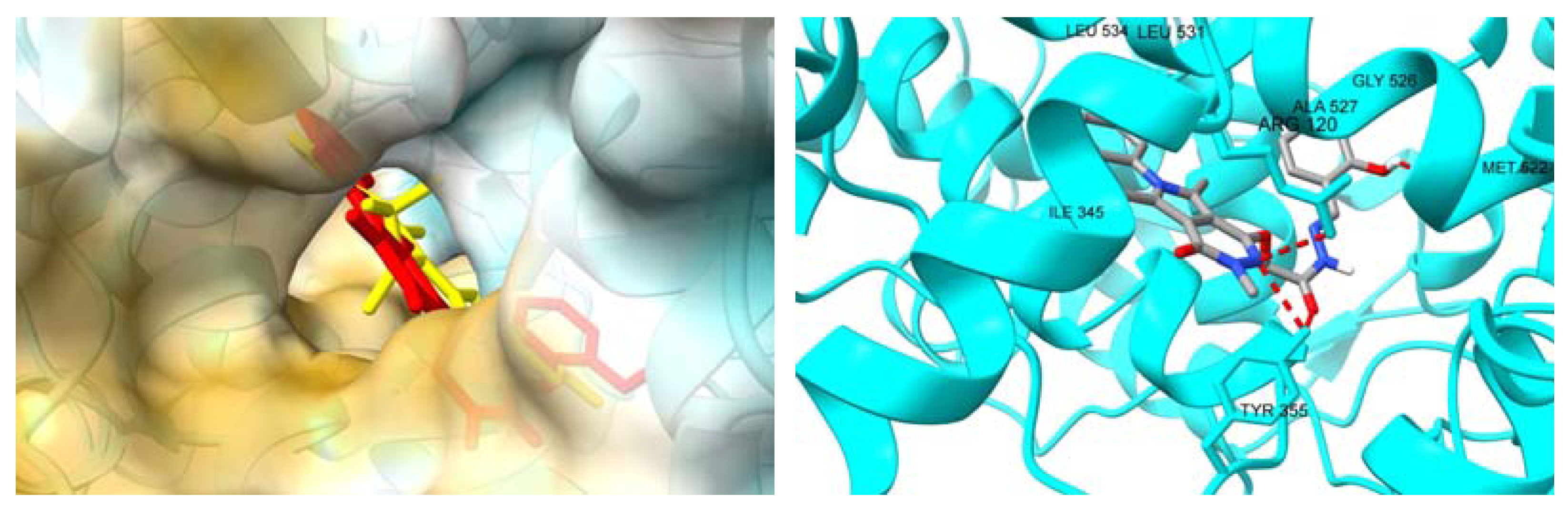 Molecules 28 05479 g006