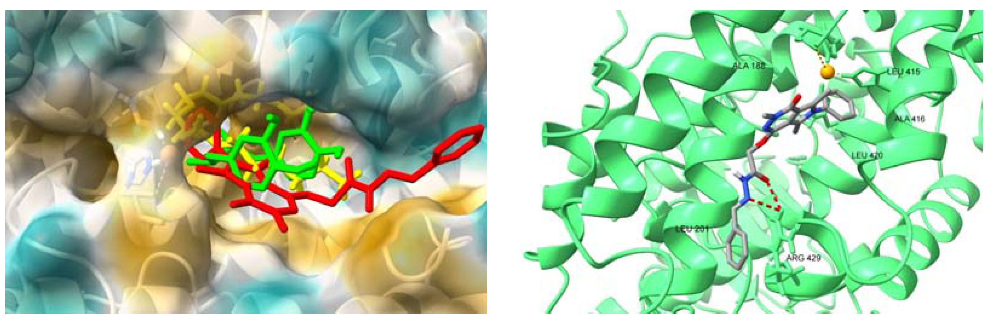 Molecules 28 05479 g007