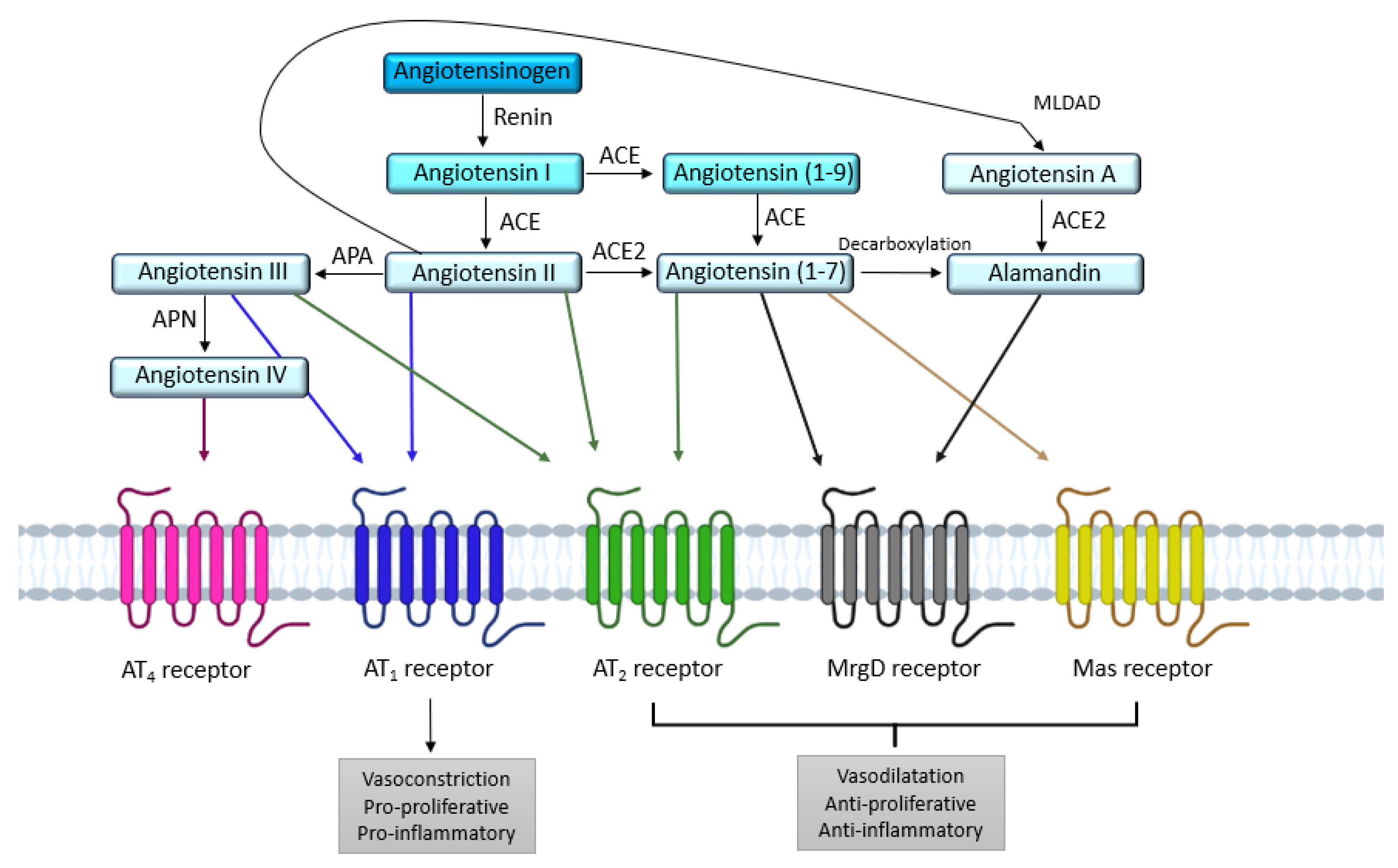 Molecules 28 05481 g001 Molecules 28 05481 g001