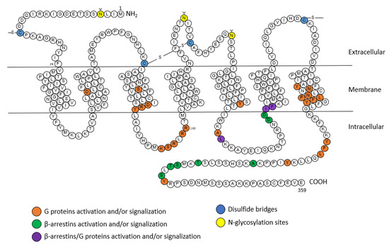 Molecules 28 05481 g002