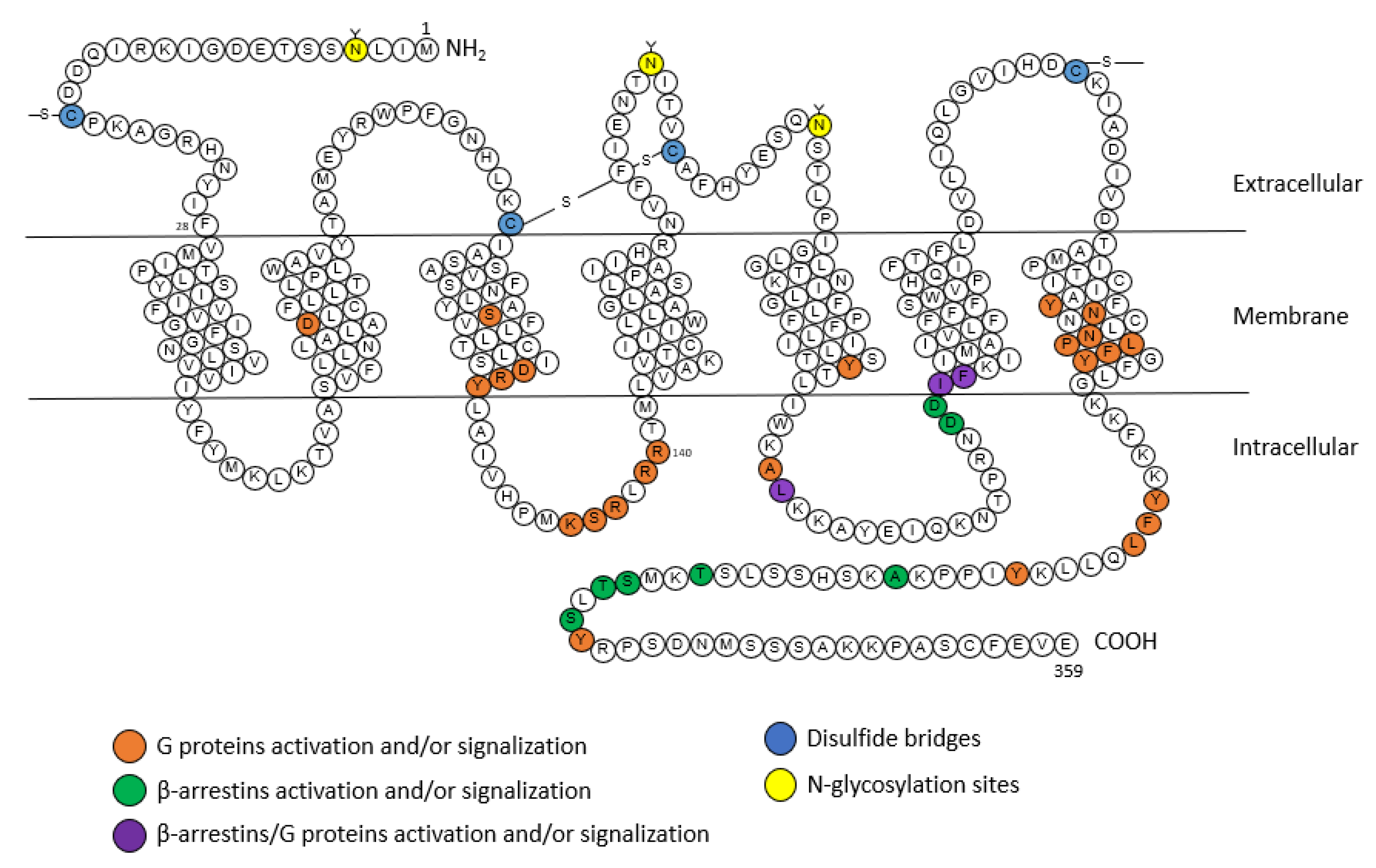 Molecules 28 05481 g002 Molecules 28 05481 g002